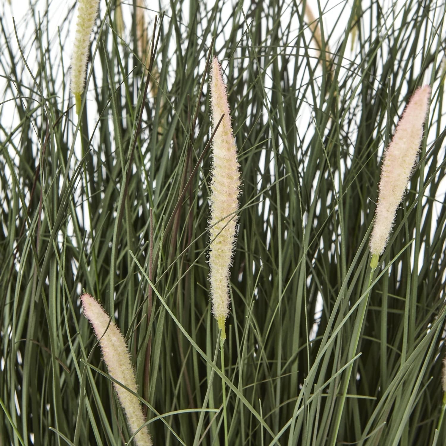 Large Fountain Grass Plant In Pot - Artificial plants & flowers, photo 2 of 4