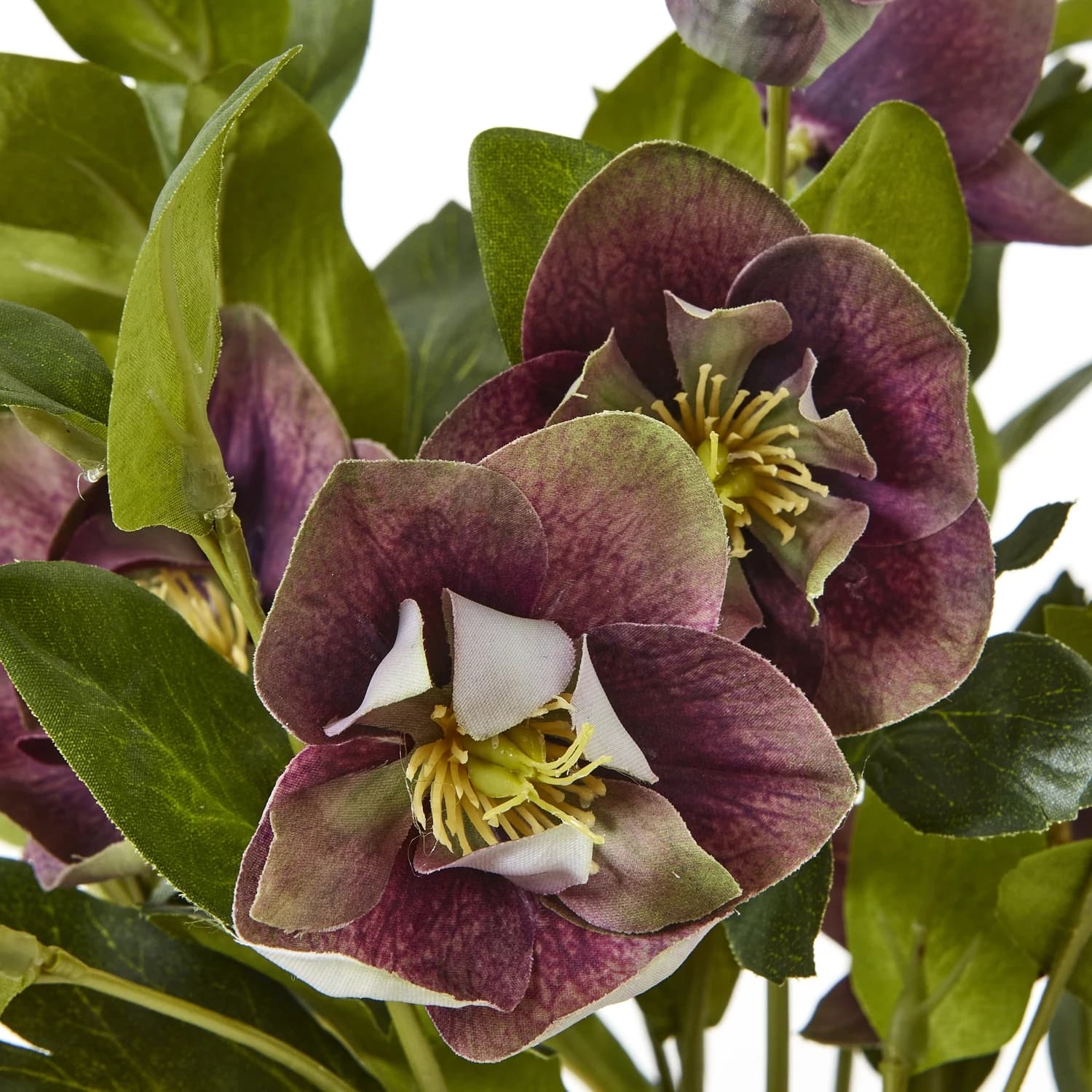 Deep Plum Hellebore Plant In Taupe Pot - Artificial plants & flowers, photo 5 of 5