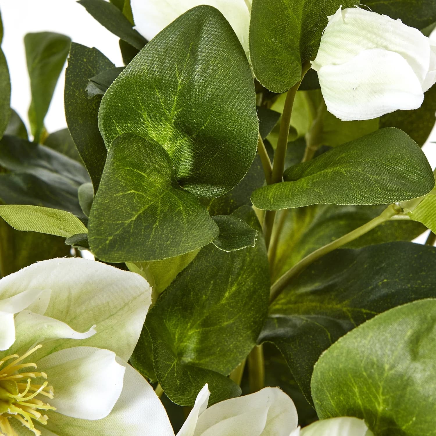 White Hellebore Plant In Grey Pot - Artificial plants & flowers, photo 3 of 5