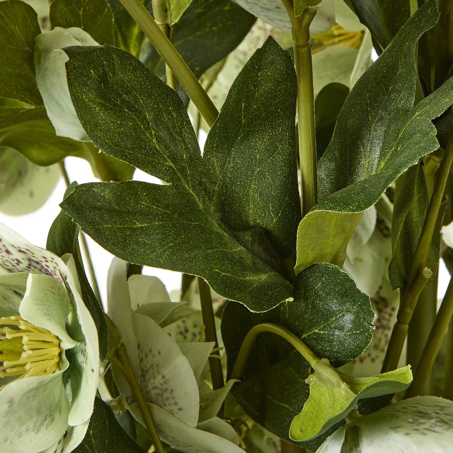 Large Green Hellebore in Taupe Pot - Artificial plants & flowers, photo 3 of 5