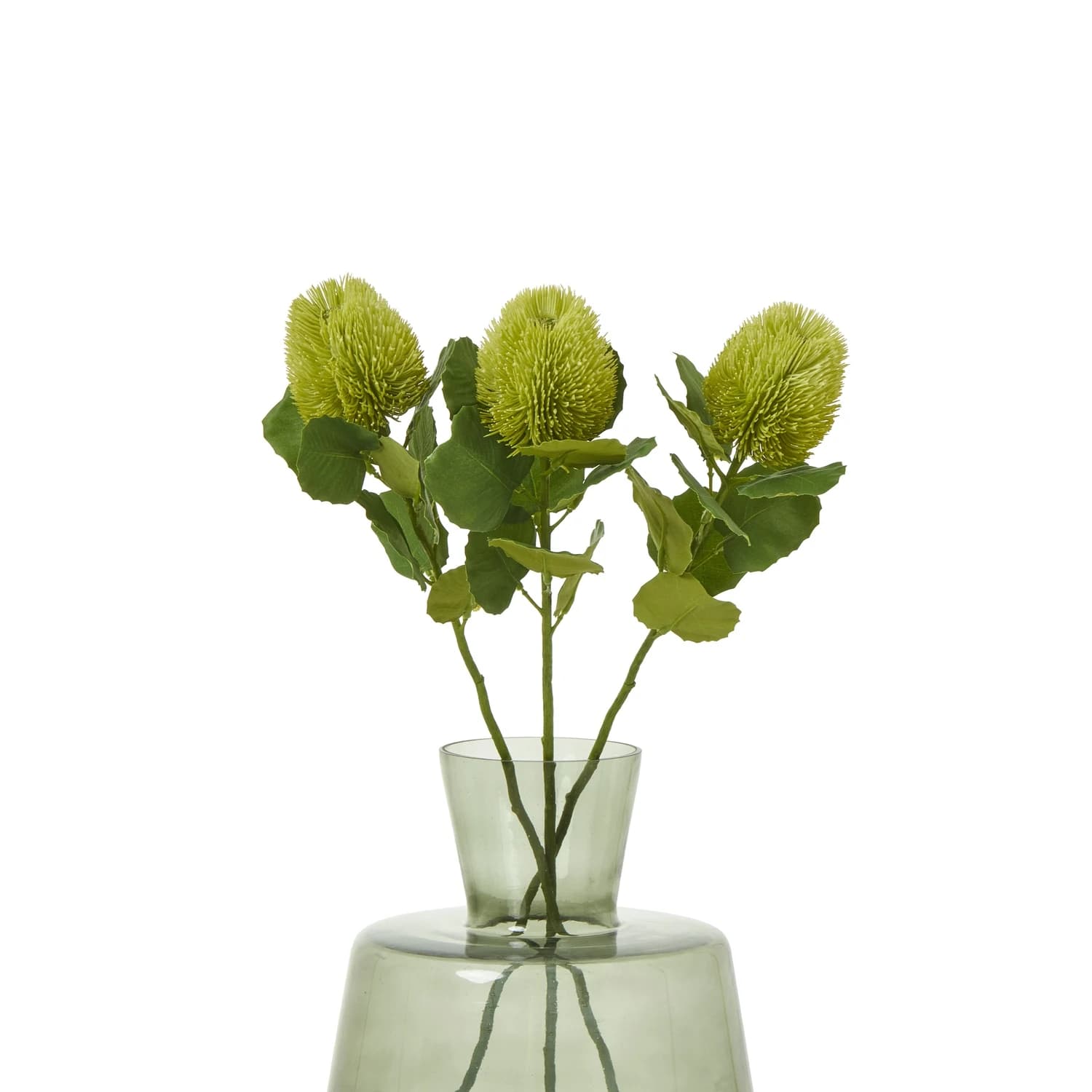 Green Banksia Stem — Pack of 5 - Artificial plants & flowers, photo 3 of 3
