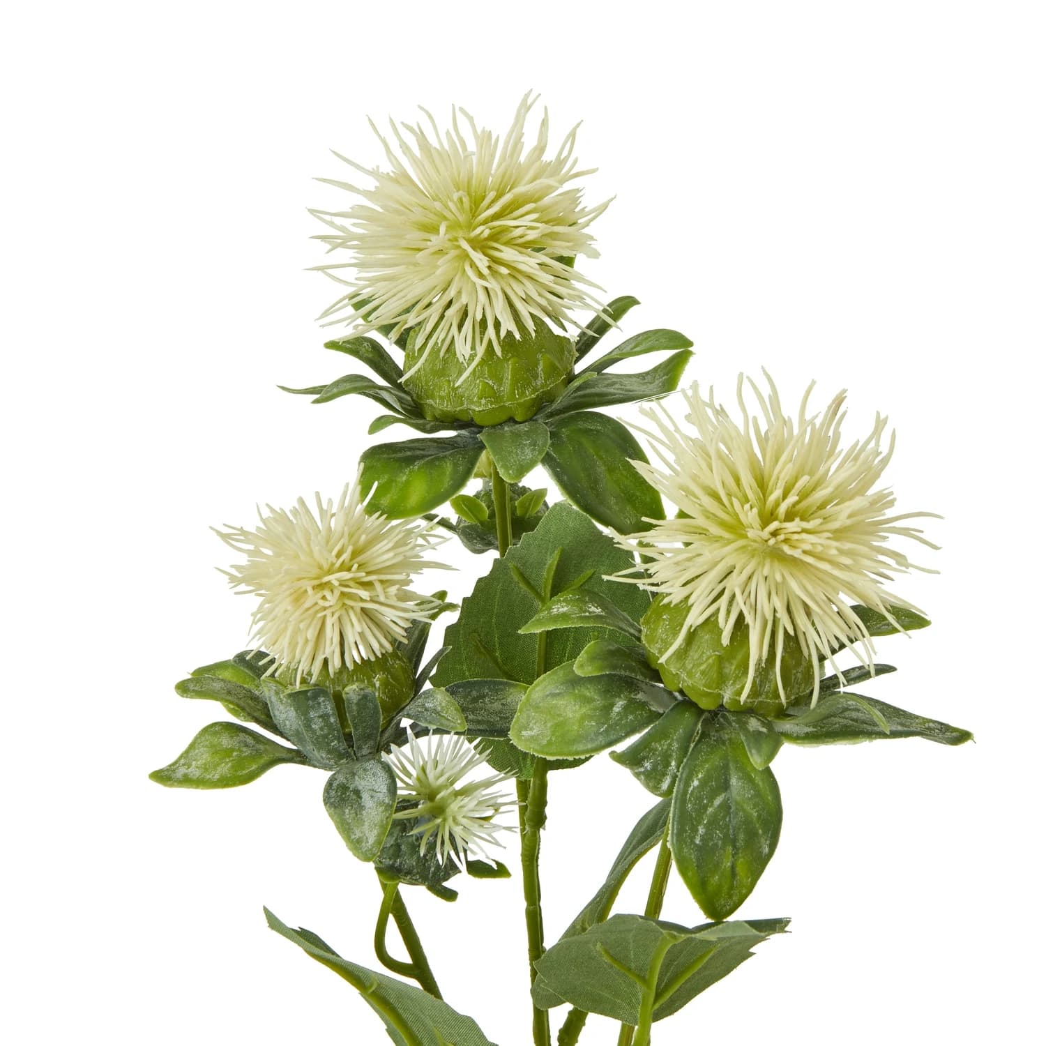 Cream Safflower Spray — Pack of 5 - Artificial plants & flowers, photo 2 of 3