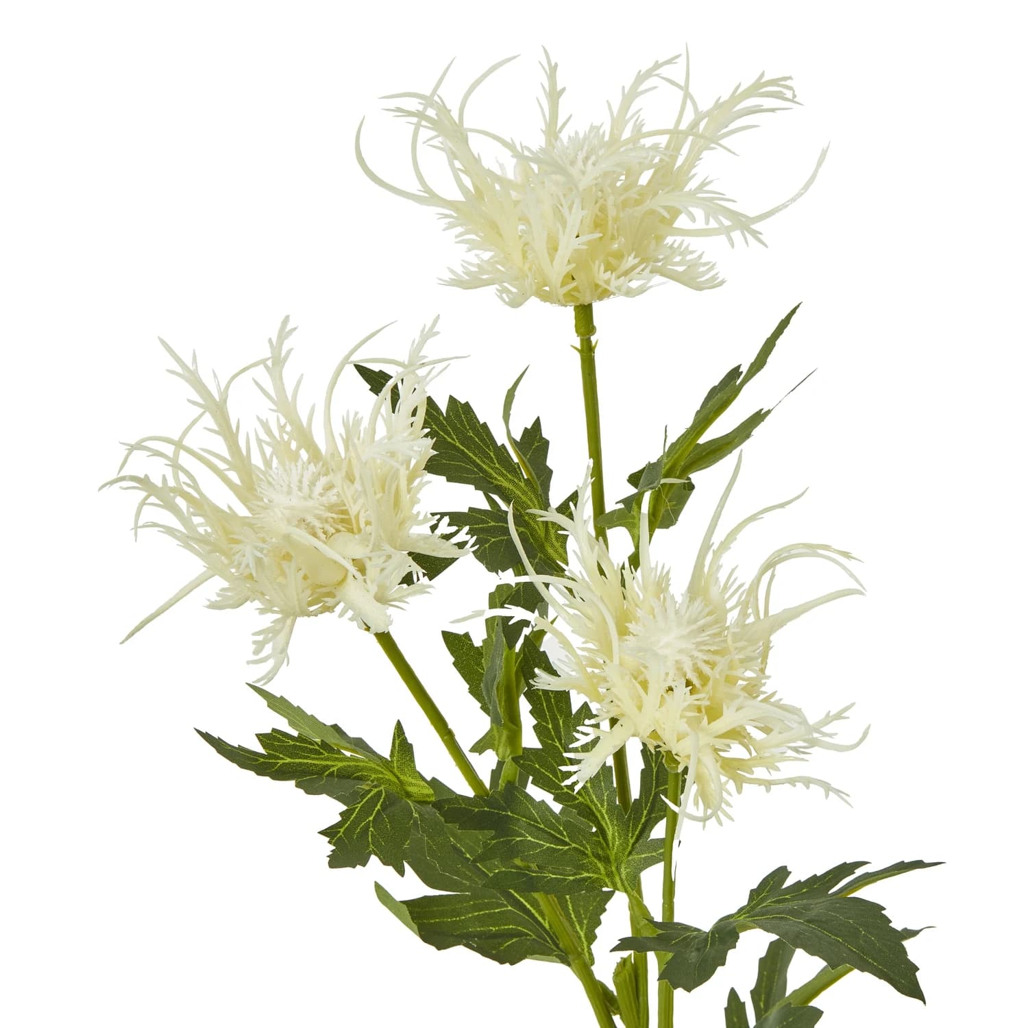 Cream Sea Holly Spray — Pack of 5 - Artificial plants & flowers, photo 2 of 5