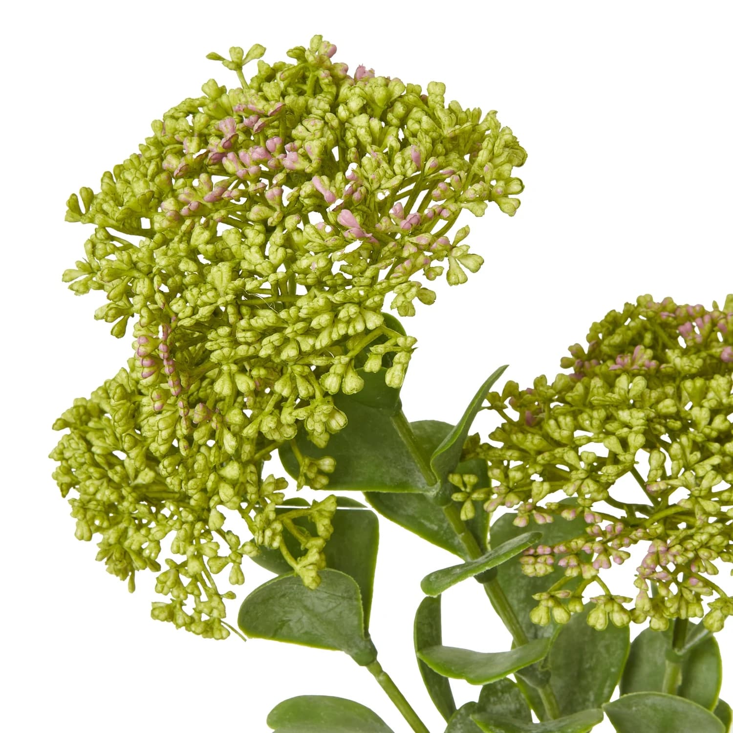 Green Sedum Spray — Pack of 5 - Artificial plants & flowers, photo 2 of 3