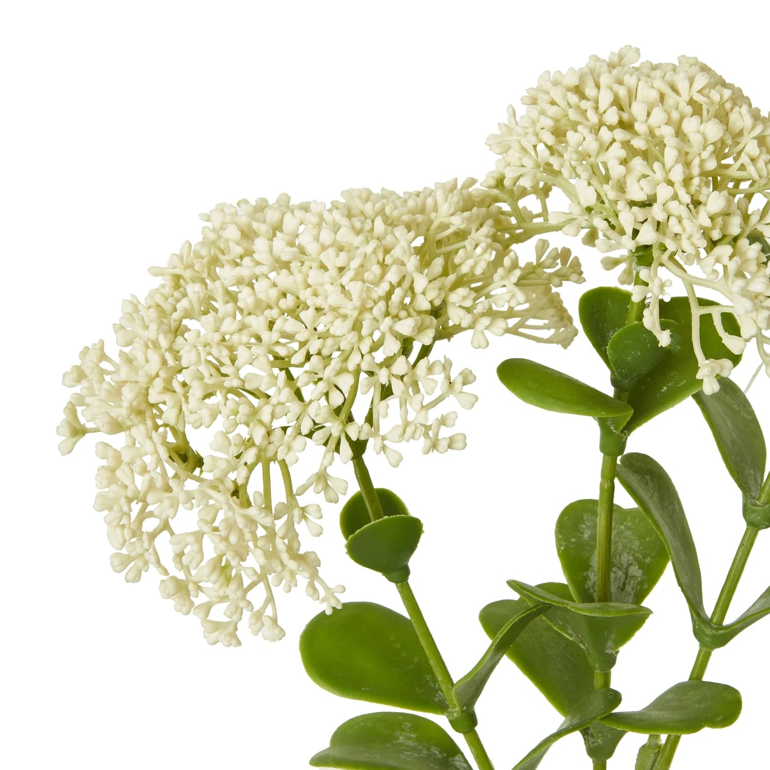 Cream Sedum Spray — Pack of 5 - Artificial plants & flowers, photo 2 of 3