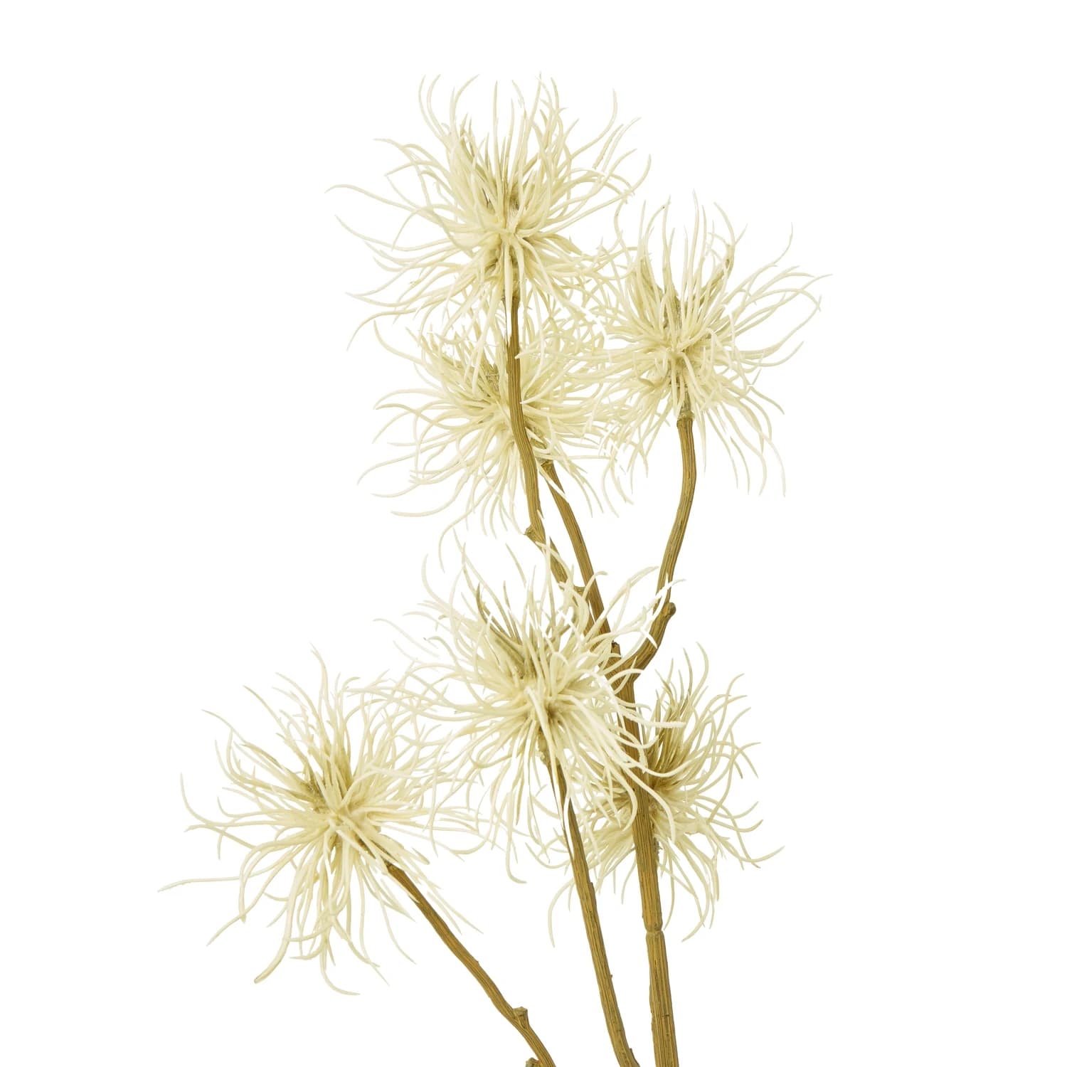 Cream Xanthium Spray — Pack of 5 - Artificial plants & flowers, photo 2 of 3
