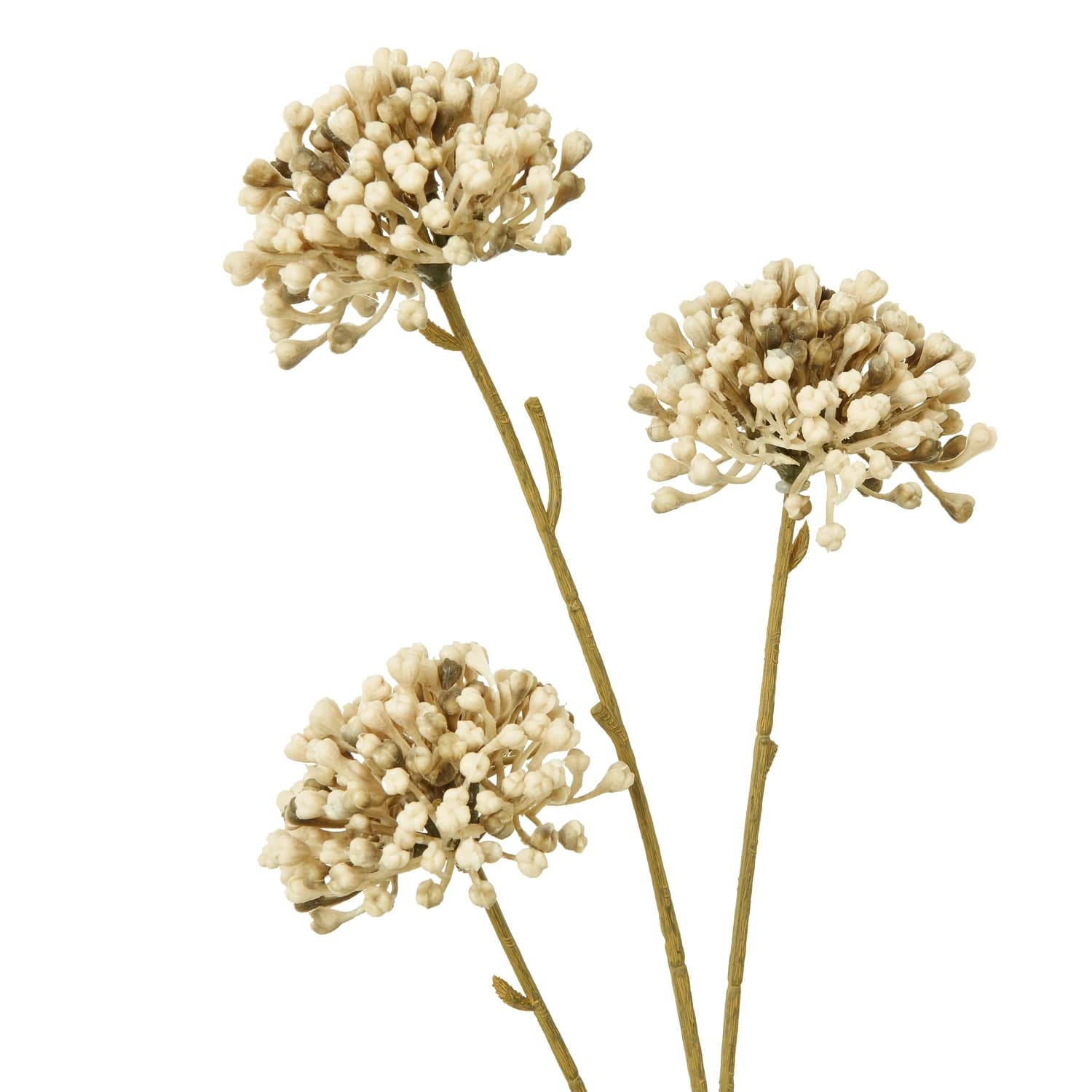 Brown Allium Spray — Pack of 5 - Artificial plants & flowers, photo 2 of 5