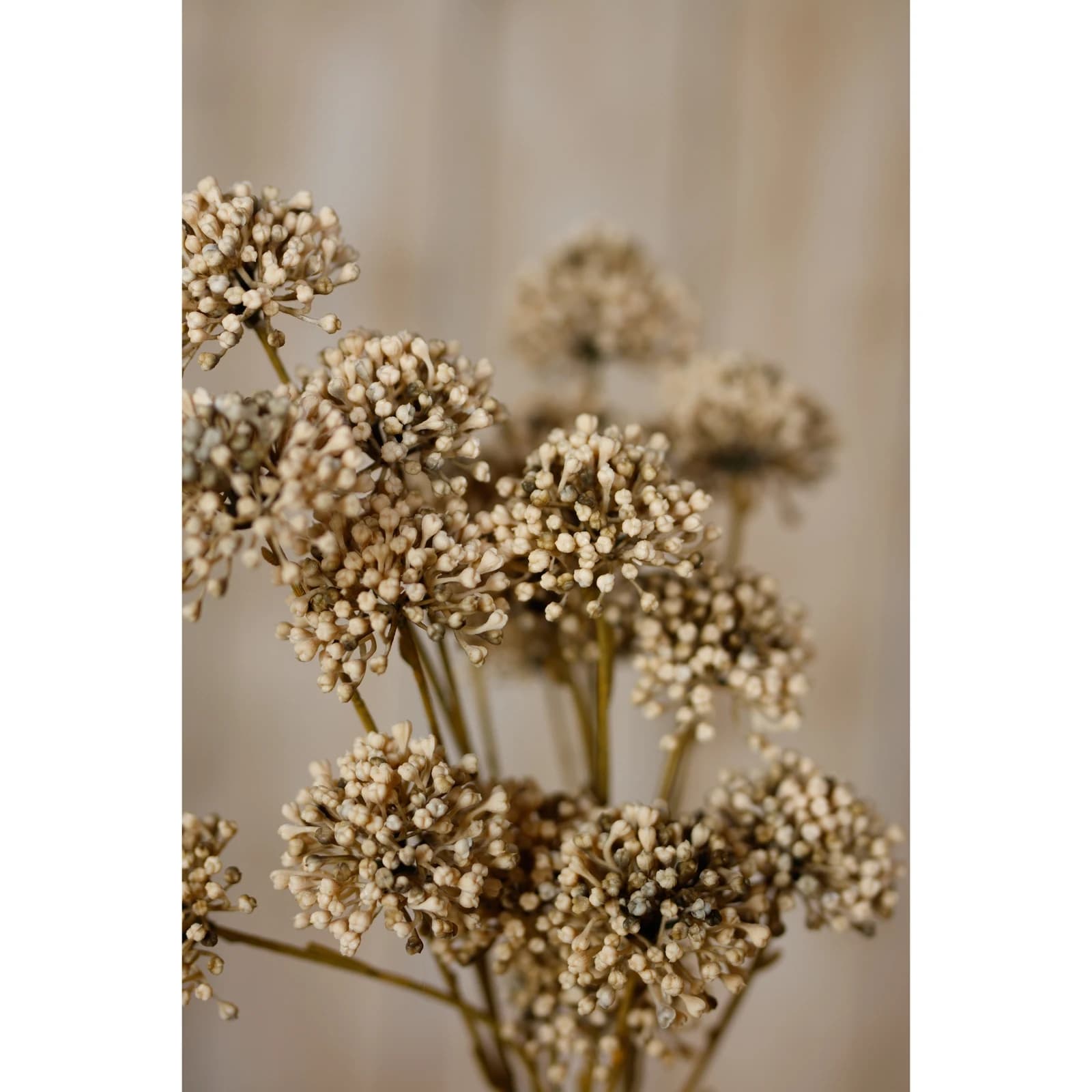 Brown Allium Spray — Pack of 5 - Artificial plants & flowers, photo 5 of 5