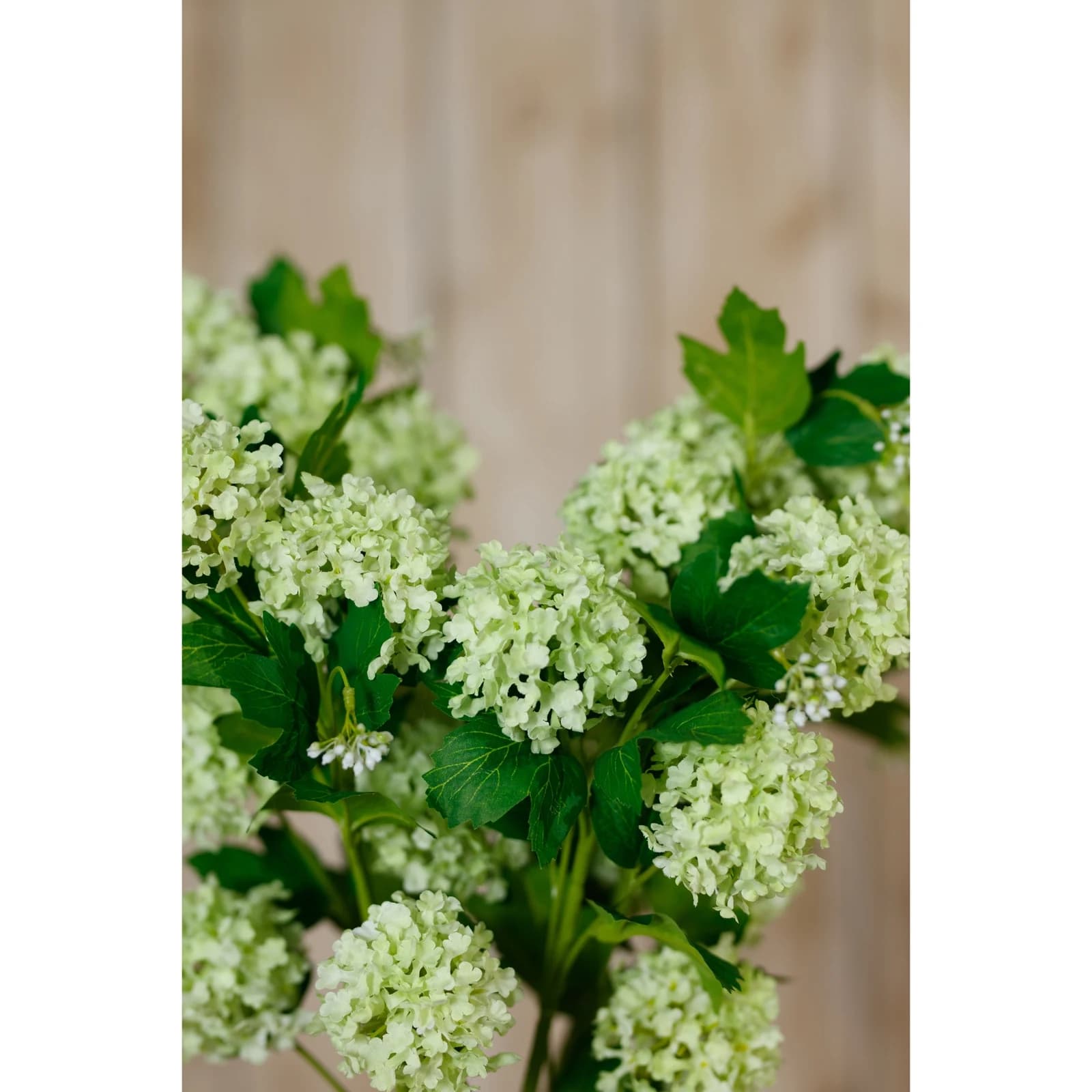 Green Snowball Viburnum Spray — Pack of 5 - Artificial plants & flowers, photo 5 of 5