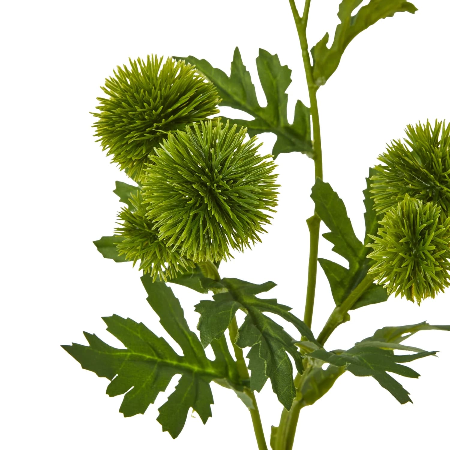 Green Globe Thistle Spray — Pack of 5 - Artificial plants & flowers, photo 2 of 5