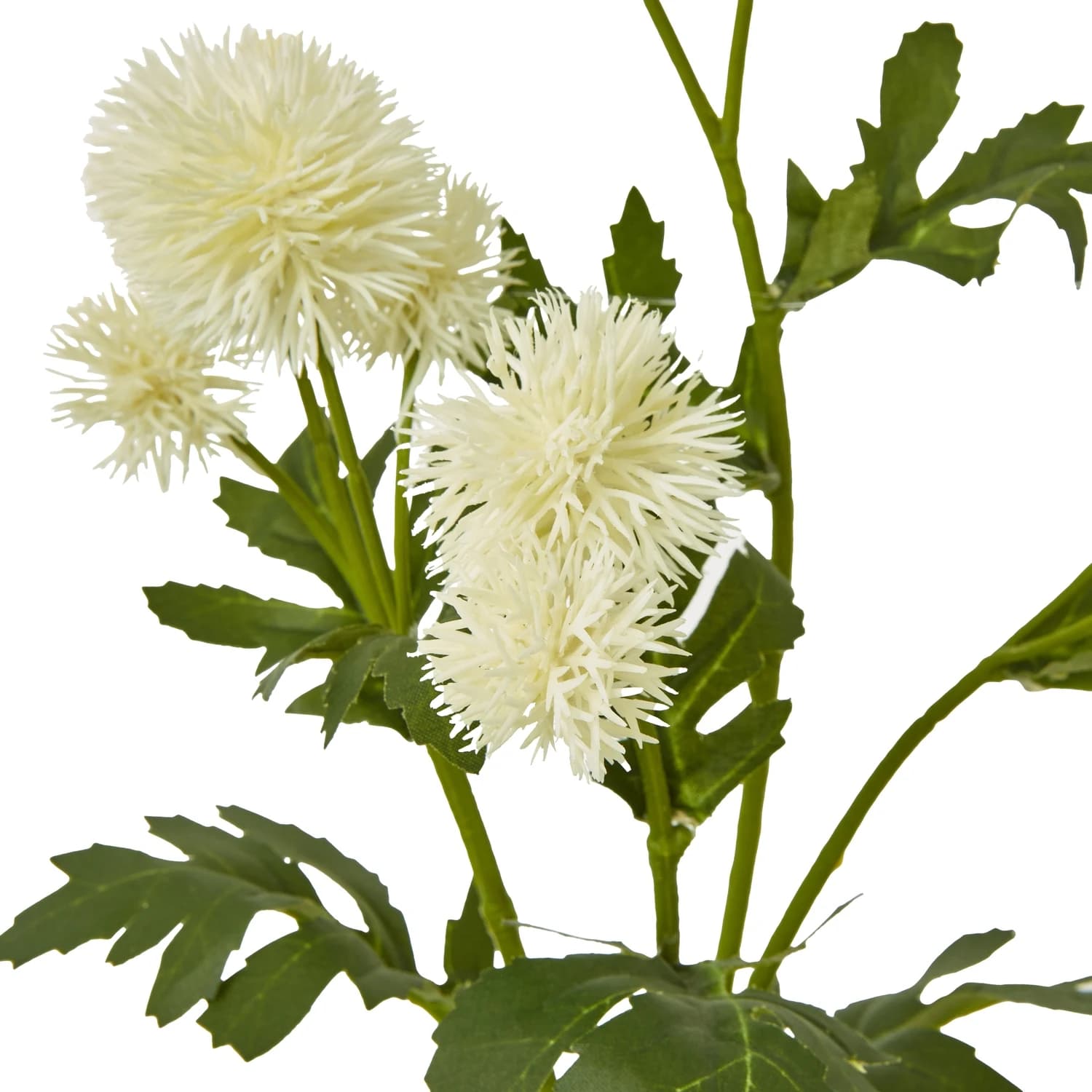 Cream Globe Thistle Spray — Pack of 5 - Artificial plants & flowers, photo 2 of 5