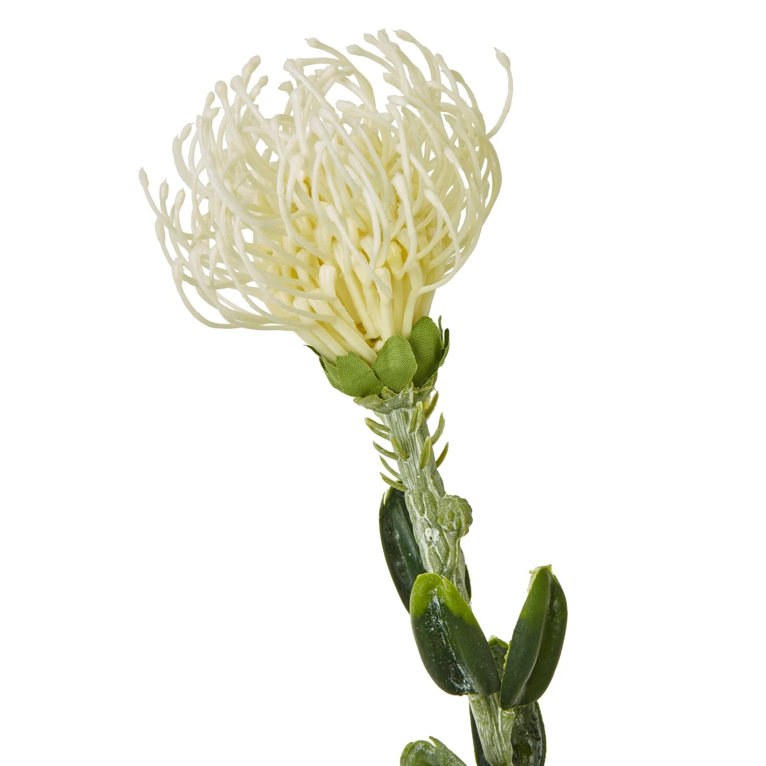Cream Pincushion Protea Spray — Pack of 5 - Artificial plants & flowers, photo 2 of 5