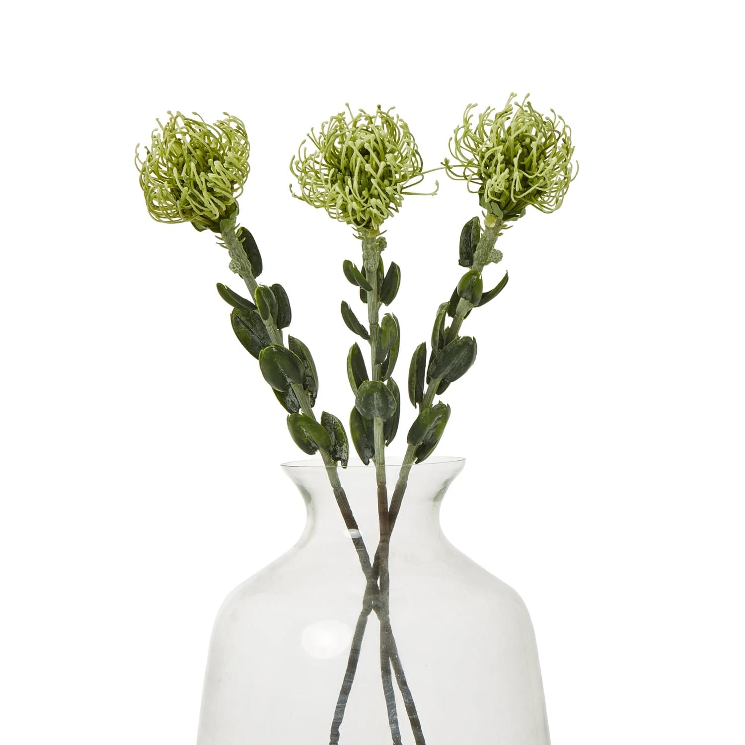 Green Pincushion Protea Spray — Pack of 5 - Artificial plants & flowers, photo 3 of 5