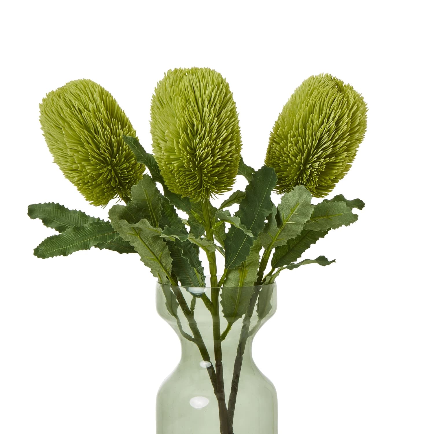Large Green Banksia Serrata Stem — Pack of 5 - Artificial plants & flowers, photo 3 of 5