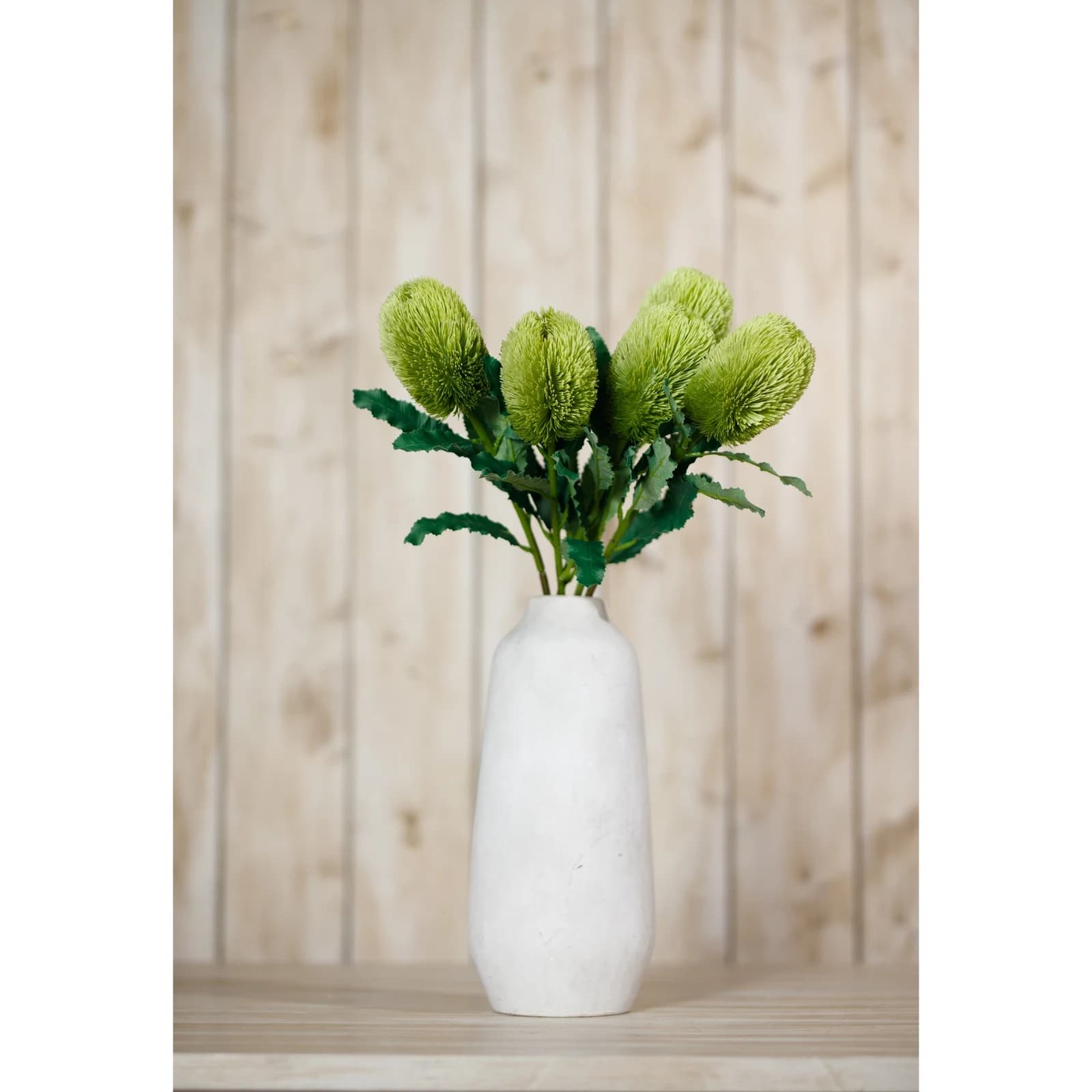 Large Green Banksia Serrata Stem — Pack of 5 - Artificial plants & flowers, photo 4 of 5