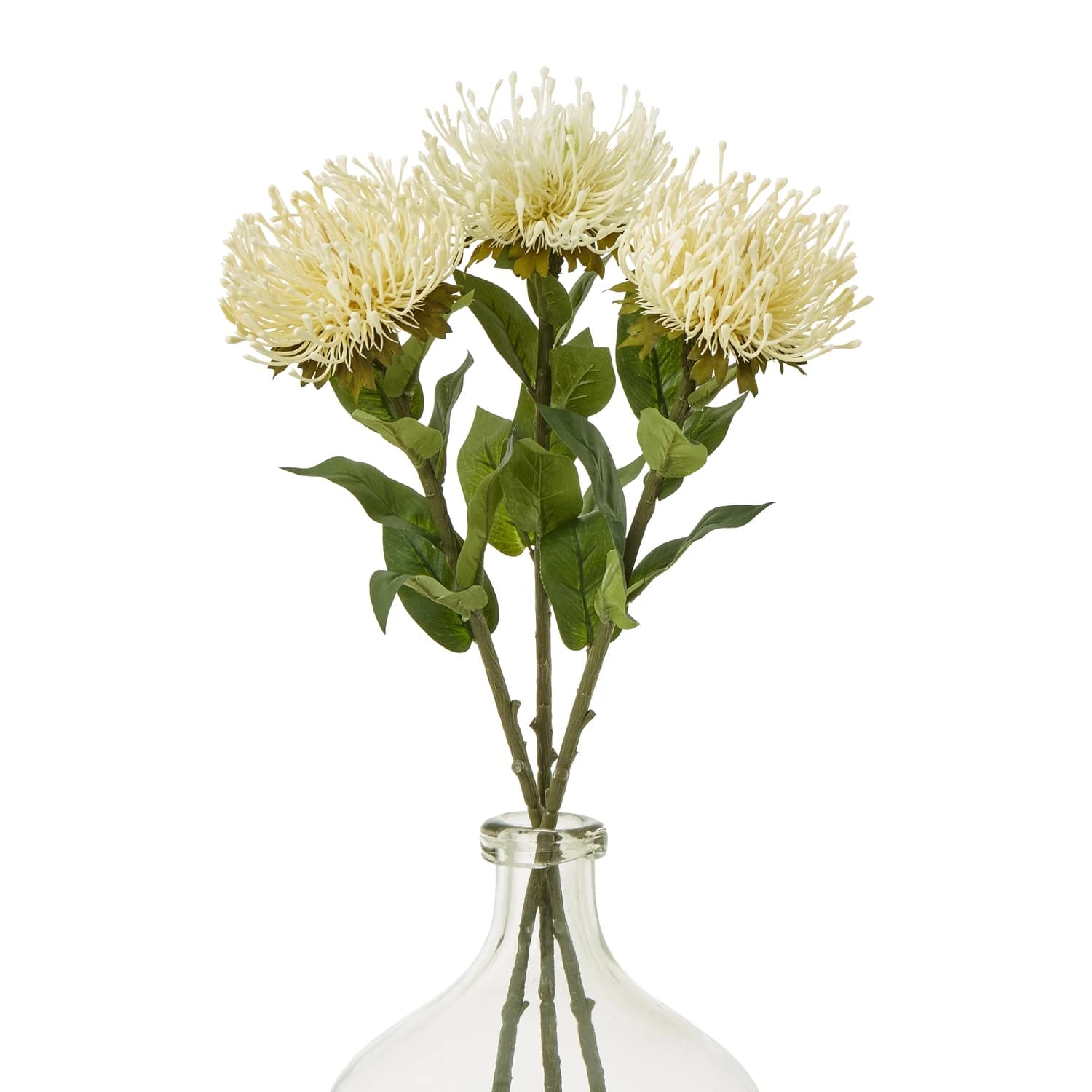 Cream Protea Lorea Stem — Pack of 5 - Artificial plants & flowers, photo 3 of 5