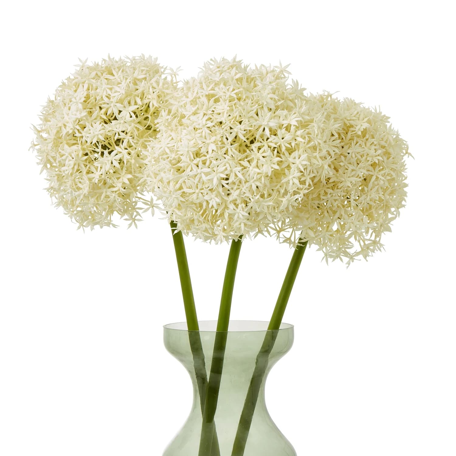 Cream Giant Allium Stem — Pack of 3 - Artificial plants & flowers, photo 3 of 5