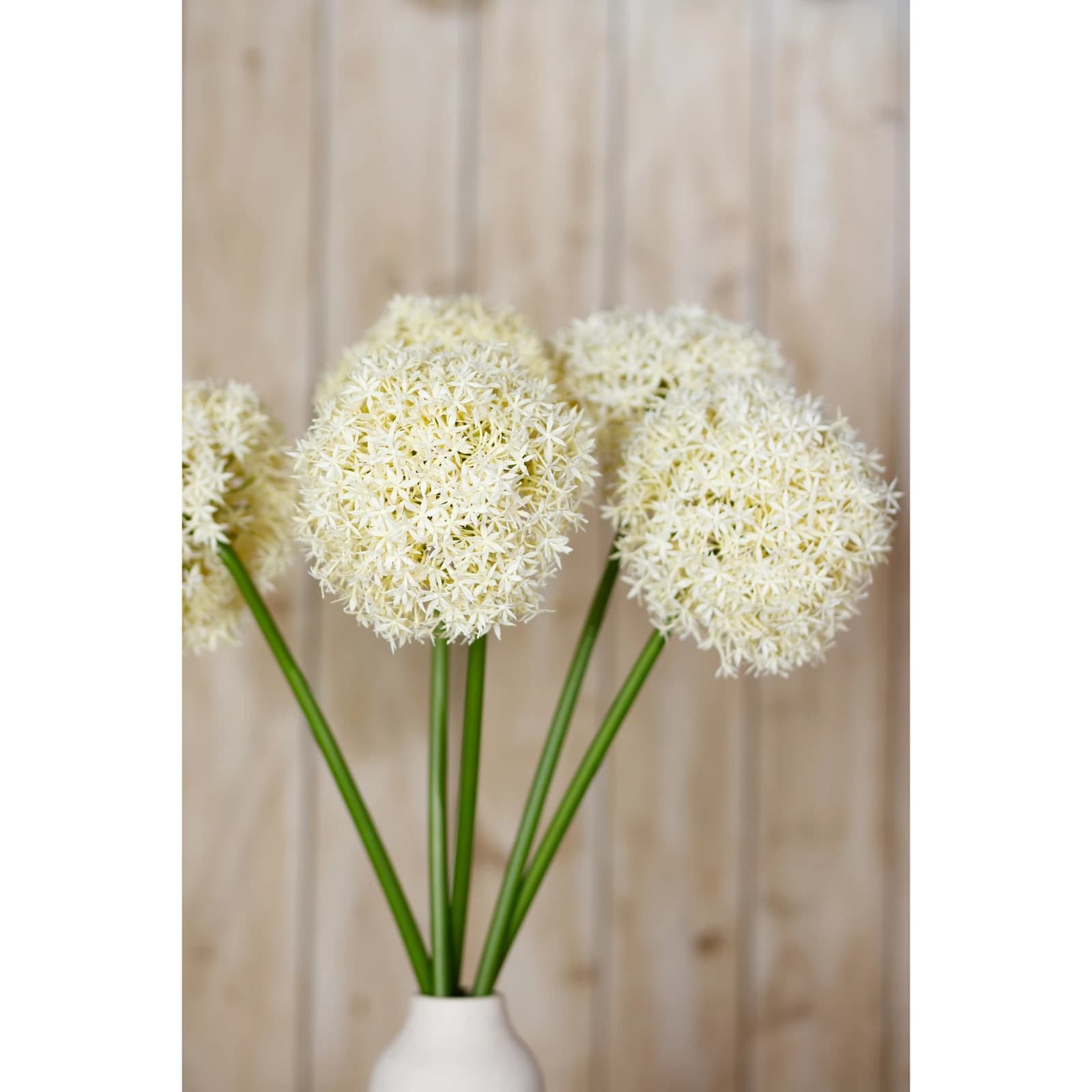Cream Giant Allium Stem — Pack of 3 - Artificial plants & flowers, photo 5 of 5