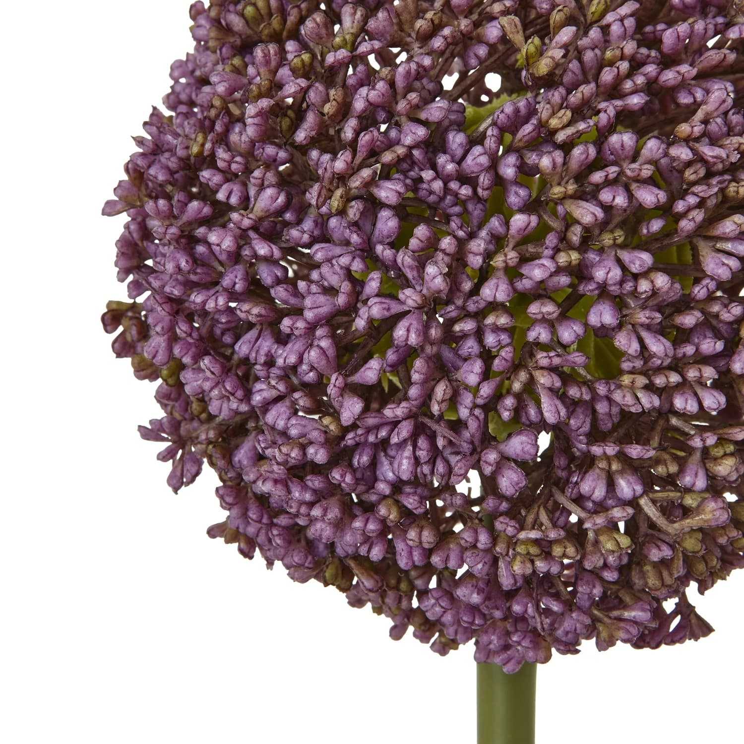 Purple Allium Stem — Pack of 5 - Artificial plants & flowers, photo 2 of 3