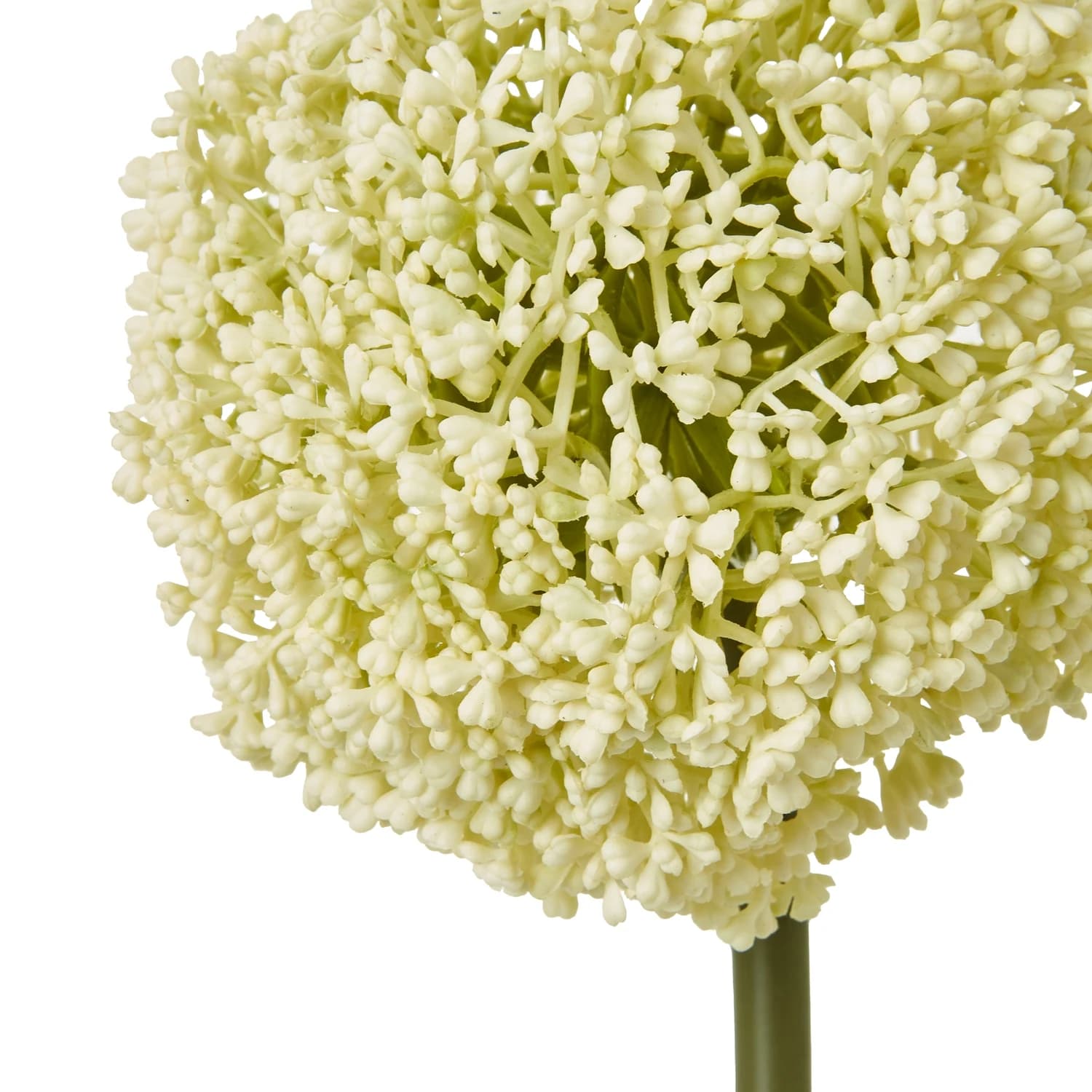 Cream Allium Stem — Pack of 5 - Artificial plants & flowers, photo 2 of 3