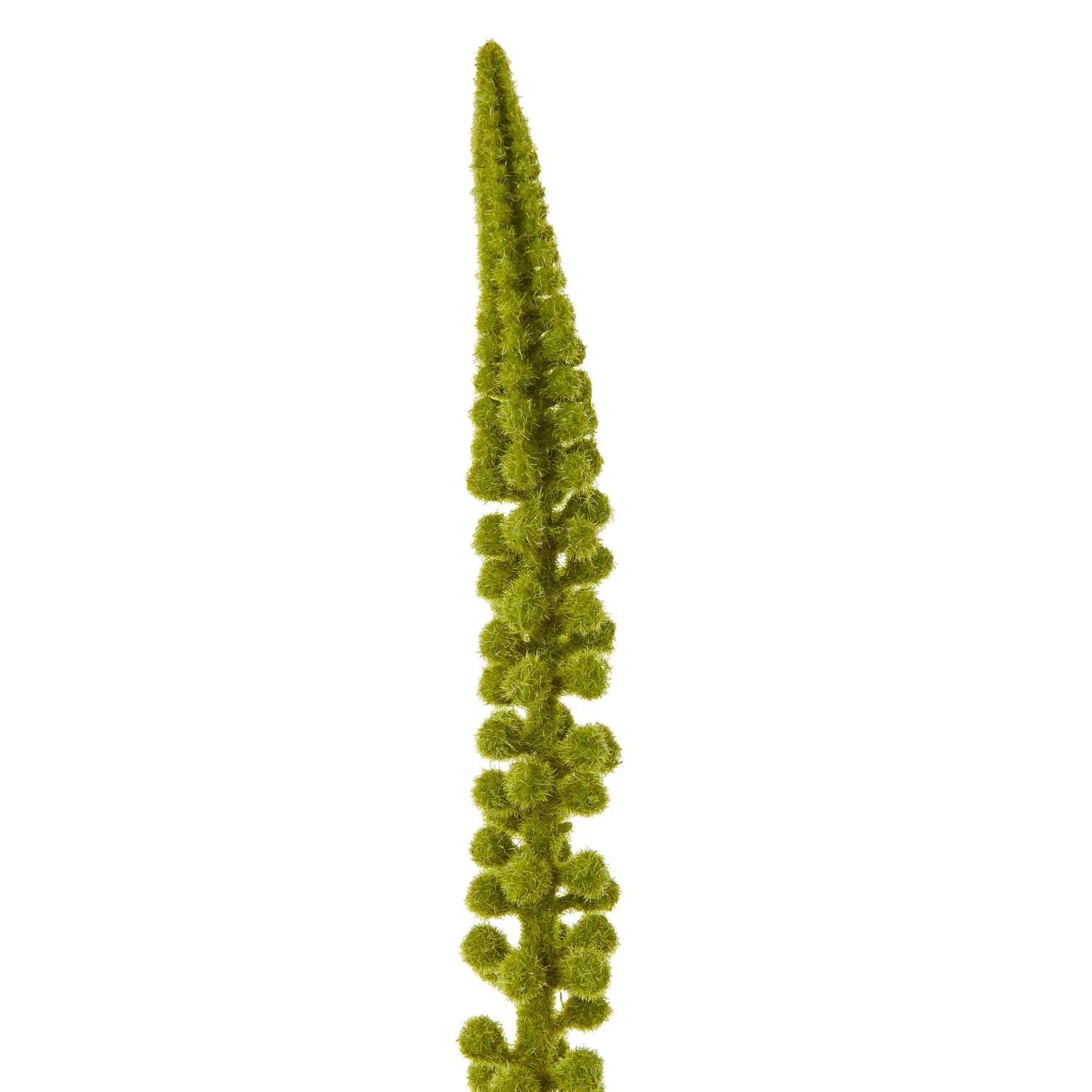Green Eremurus Stem — Pack of 5 - Artificial plants & flowers, photo 2 of 3