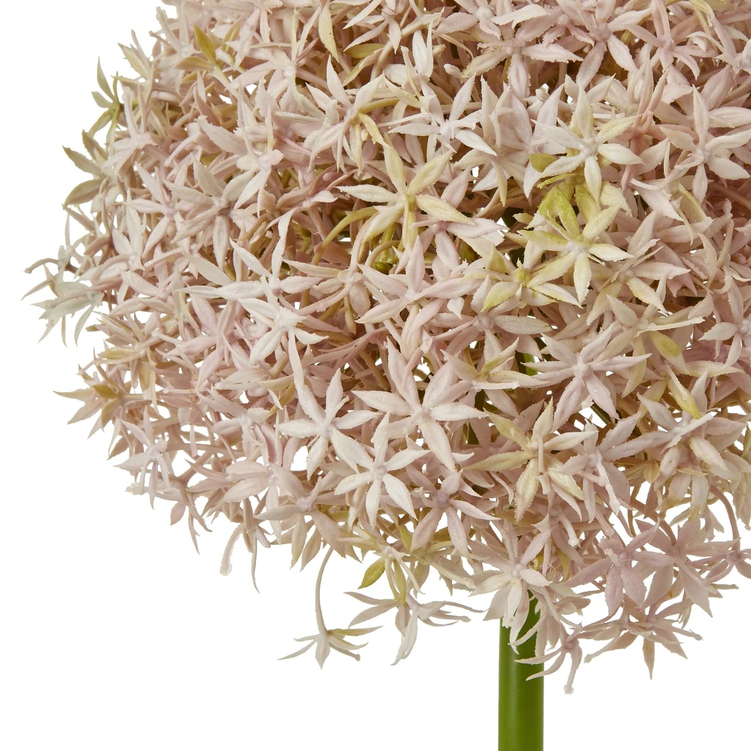 Lilac Giant Allium Stem — Pack of 3 - Artificial plants & flowers, photo 2 of 5