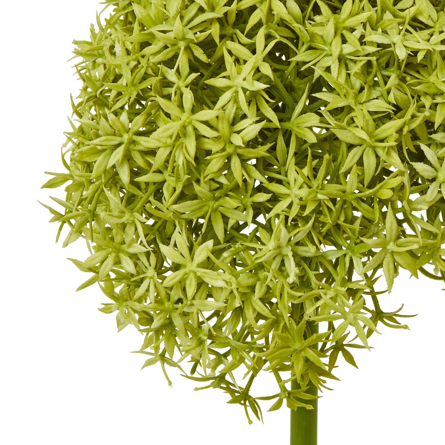 Green Giant Allium Stem — Pack of 3 - Artificial plants & flowers, photo 2 of 5