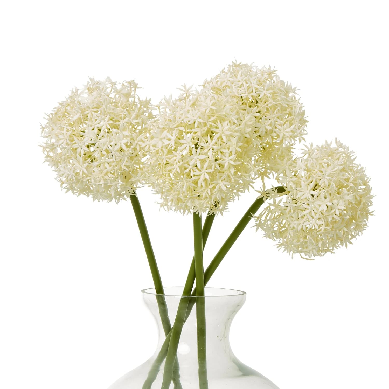 Cream Medium Allium Stem — Pack of 5 - Artificial plants & flowers, photo 3 of 5