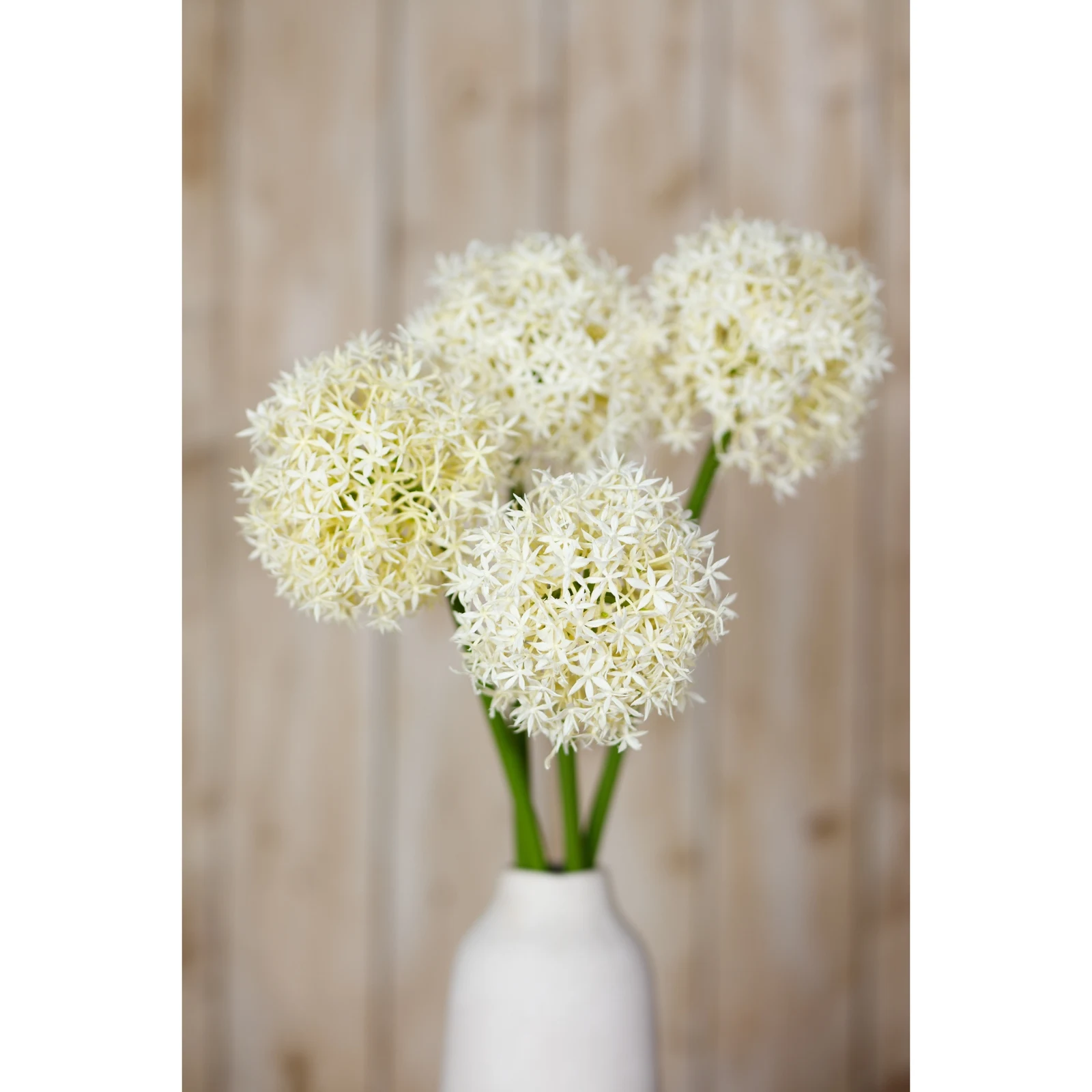 Cream Medium Allium Stem — Pack of 5 - Artificial plants & flowers, photo 5 of 5