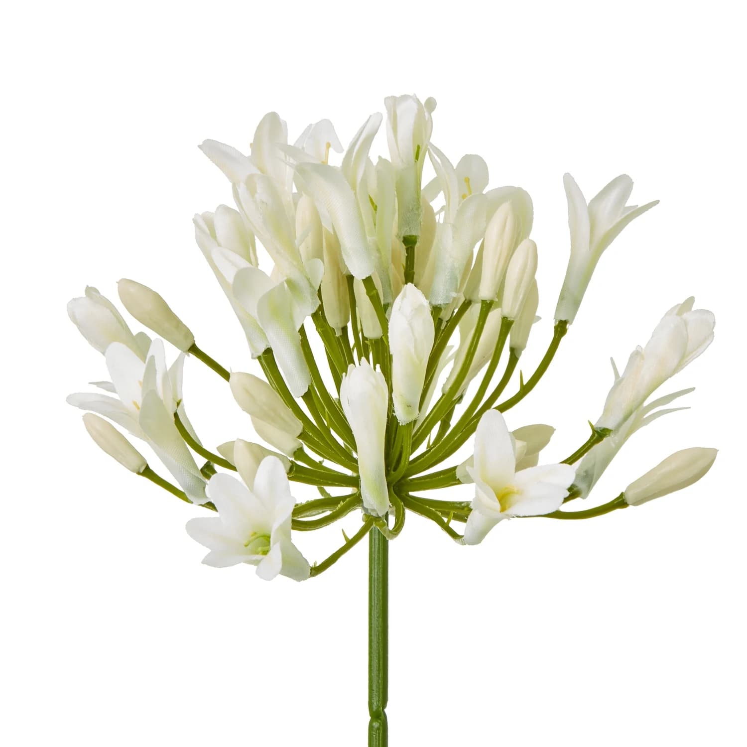 Cream Agapanthus Spray — Pack of 5 - Artificial plants & flowers, photo 2 of 5