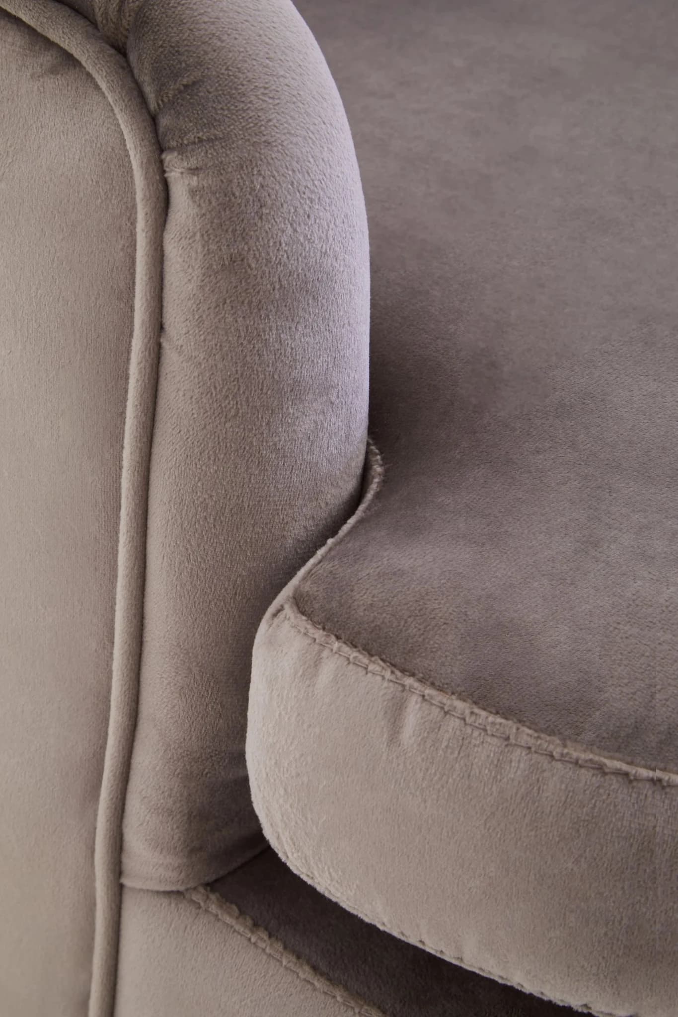Loretta Mink Velvet Accent Chair With Wooden legs - Seating, photo 5 of 8