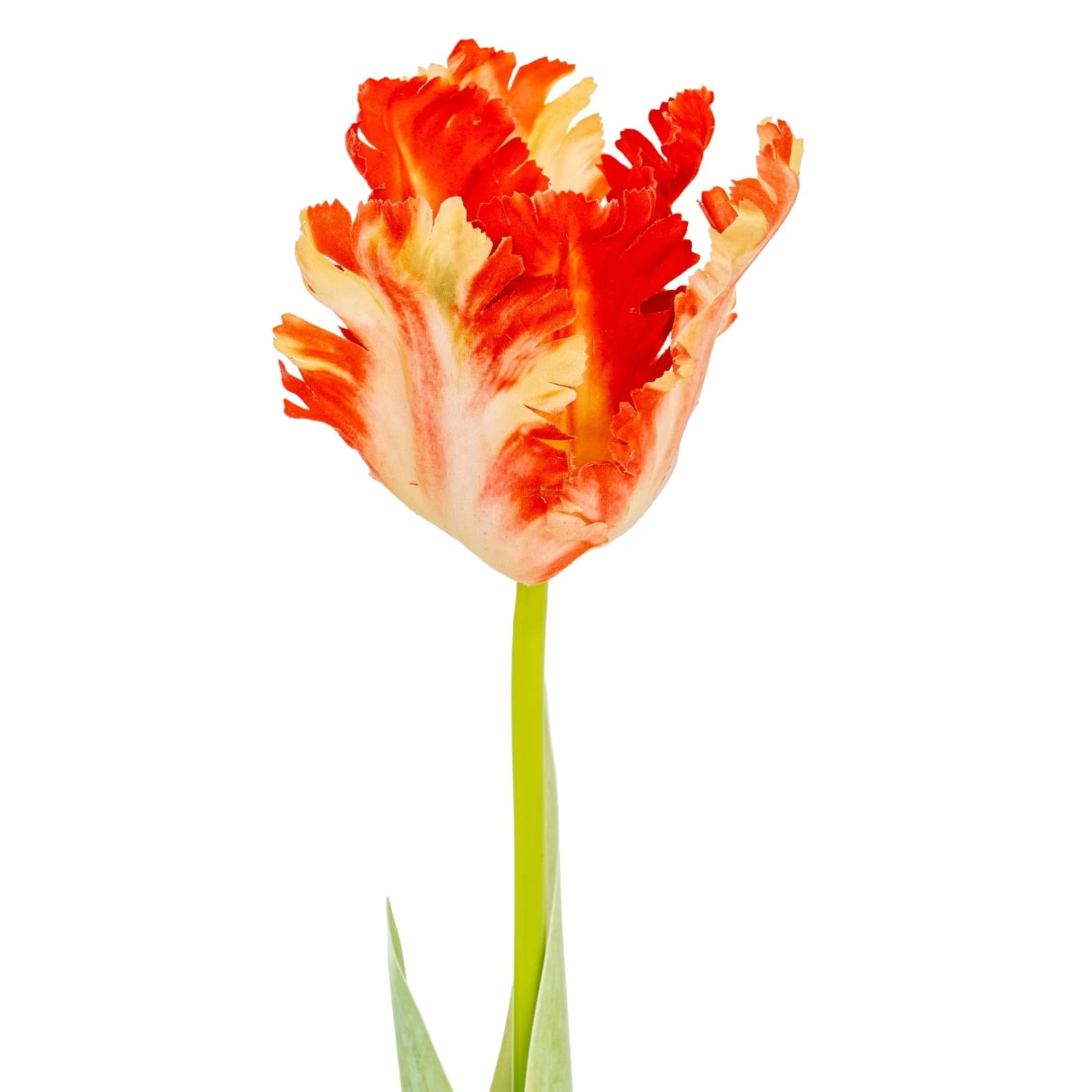 Flame Orange Parrot Tulip — Pack of 5 - Artificial plants & flowers, photo 3 of 5