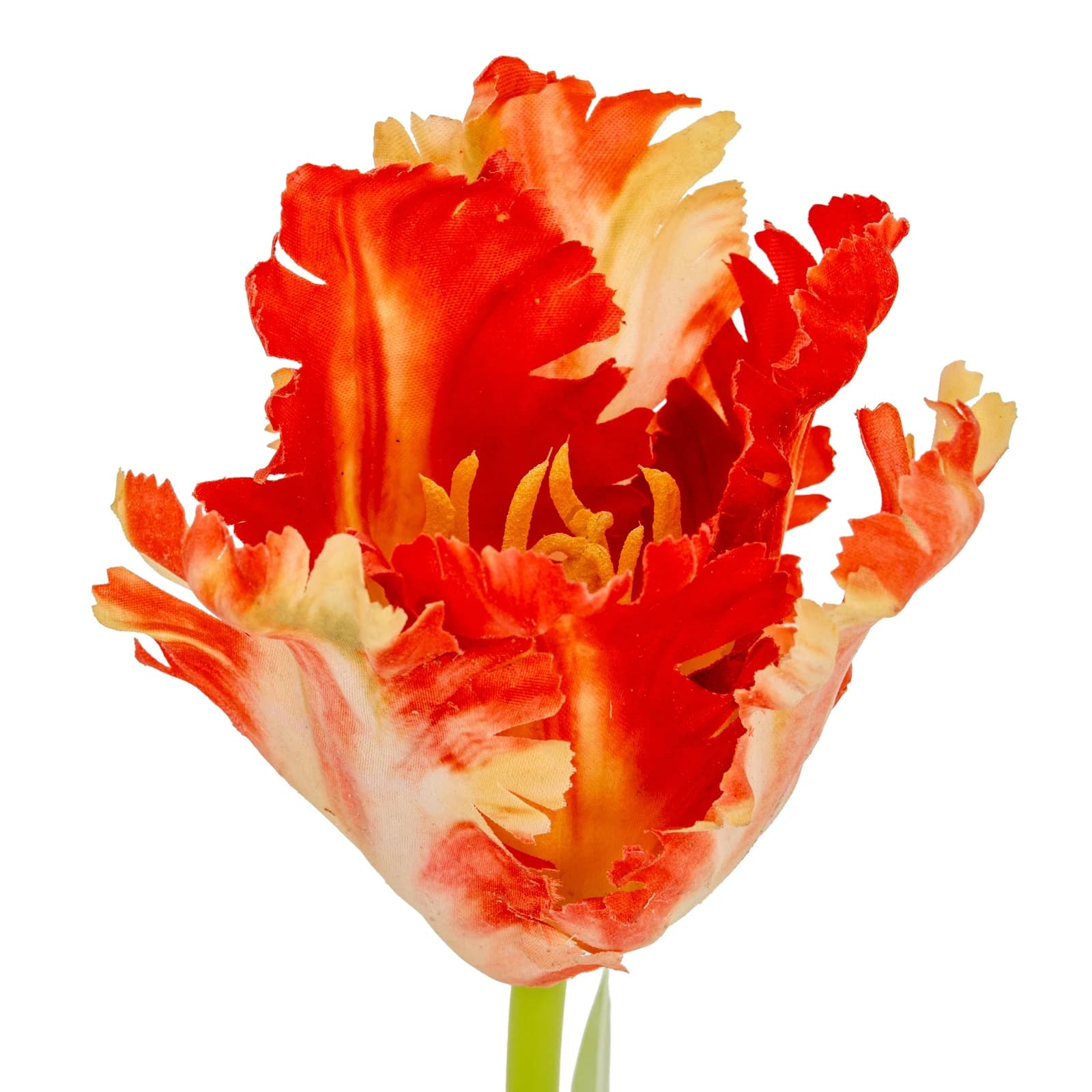 Flame Orange Parrot Tulip — Pack of 5 - Artificial plants & flowers, photo 5 of 5