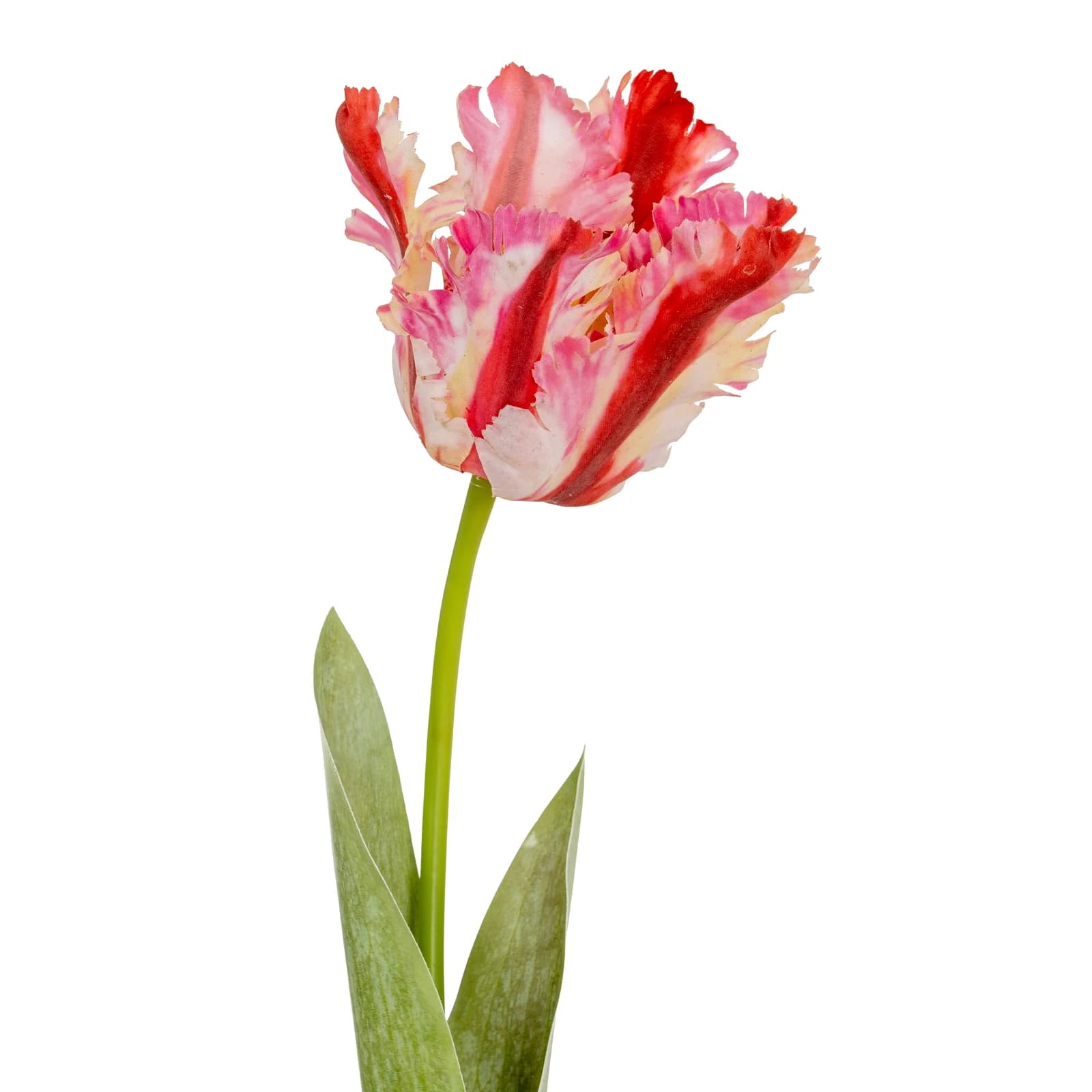 Multi Pink Parrot Tulip — Pack of 5 - Artificial plants & flowers, photo 3 of 5