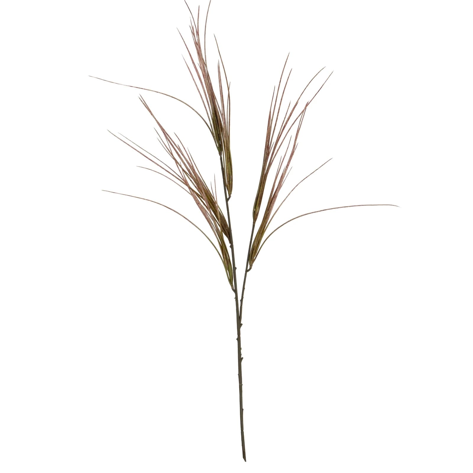 Brome Grass Spray — Pack of 5 - Artificial plants & flowers, photo 2 of 2