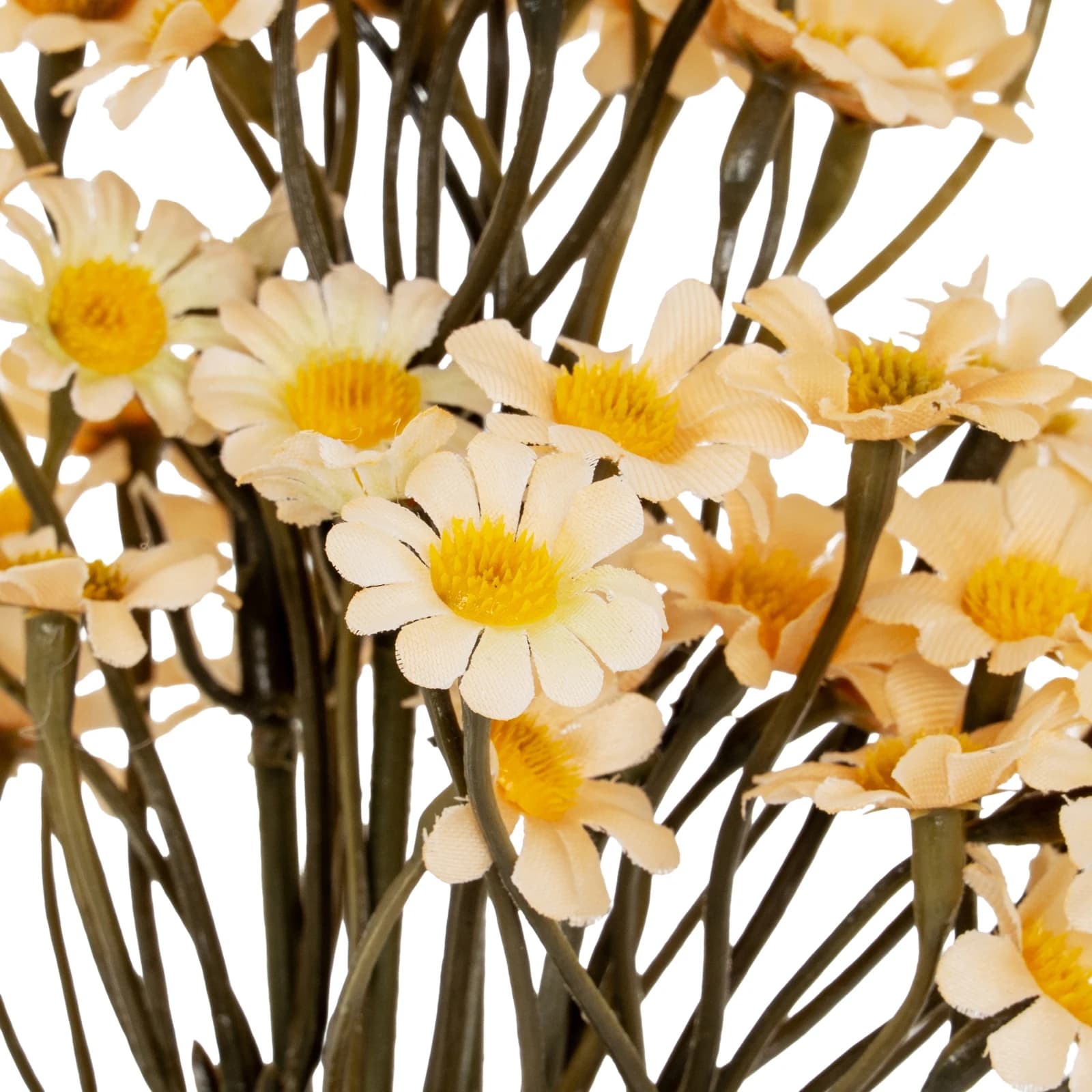 Cream Daisy Bunch — Pack of 5 - Artificial plants & flowers, photo 3 of 3