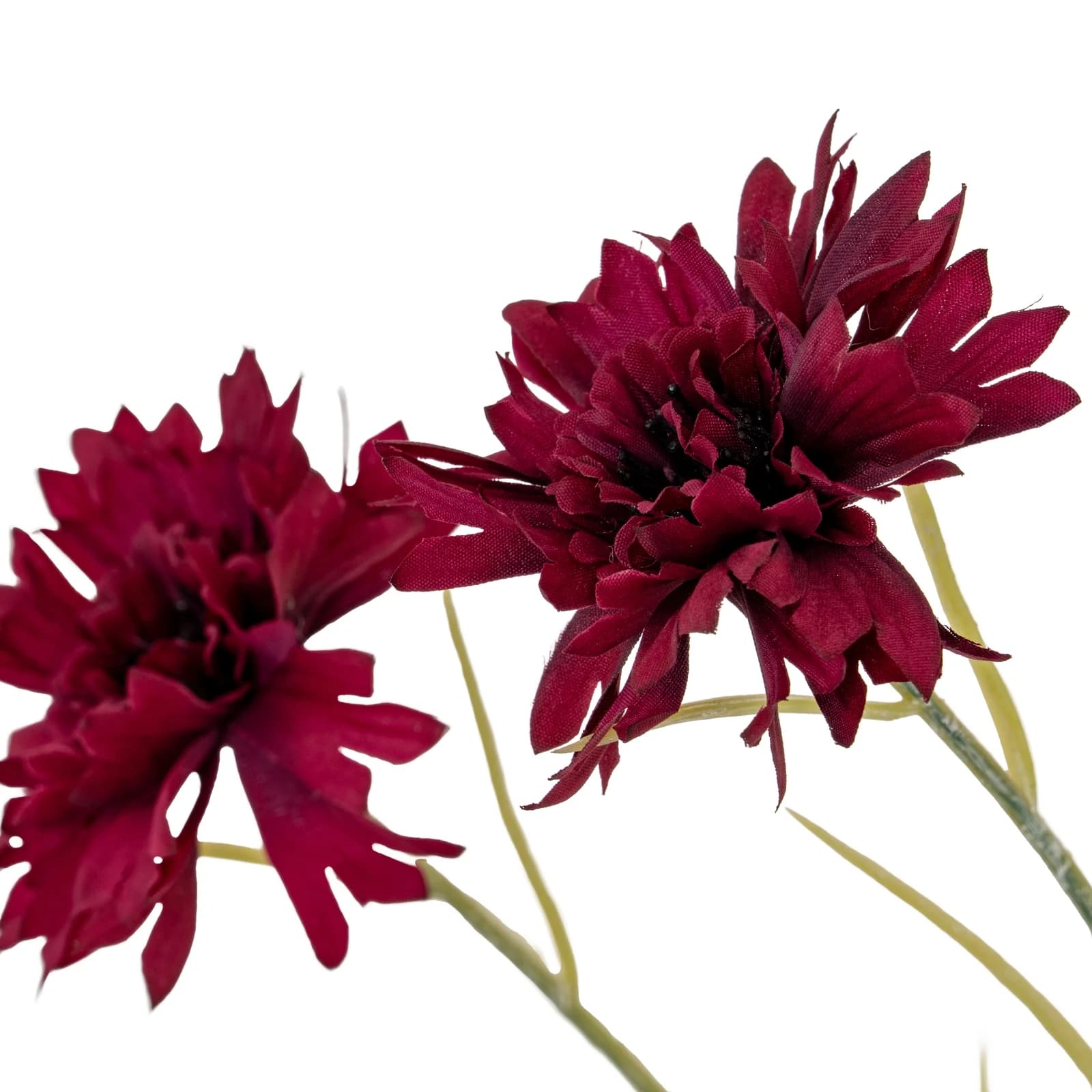 Burgundy Cornflower Stem — Pack of 5 - Artificial plants & flowers, photo 3 of 3