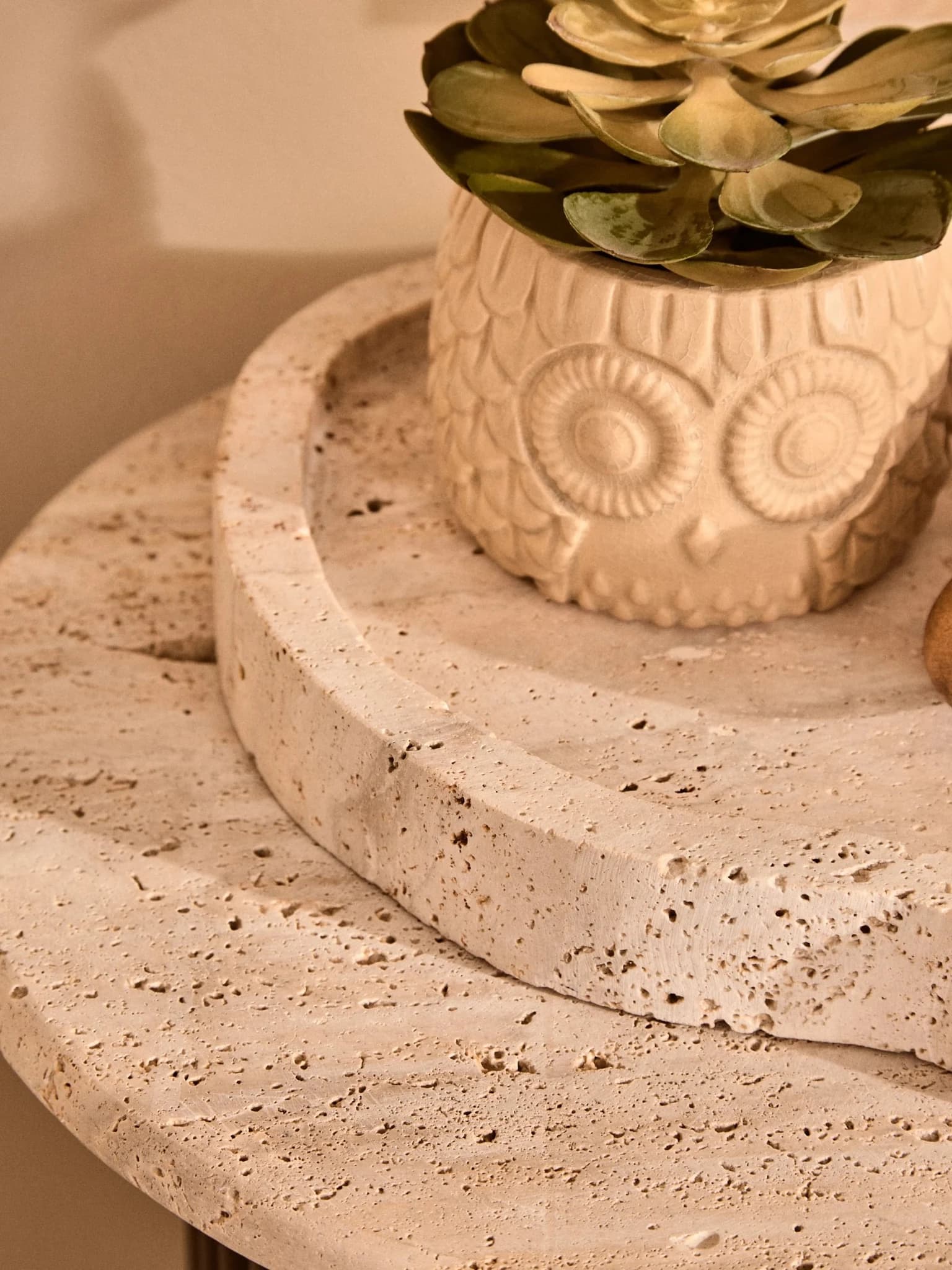 Fiori Large Succulent in Grey Ceramic Owl Pot - Decorative, photo 2 of 8