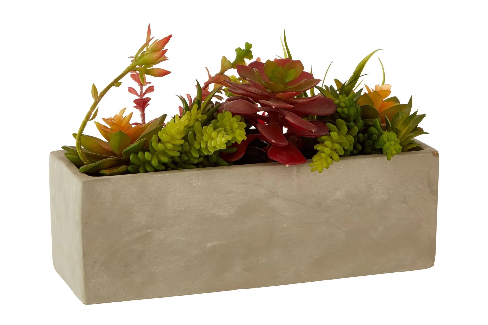 Fiori Mixed Succulents in Rectangular Cement Pot - Decorative, photo 3 of 5