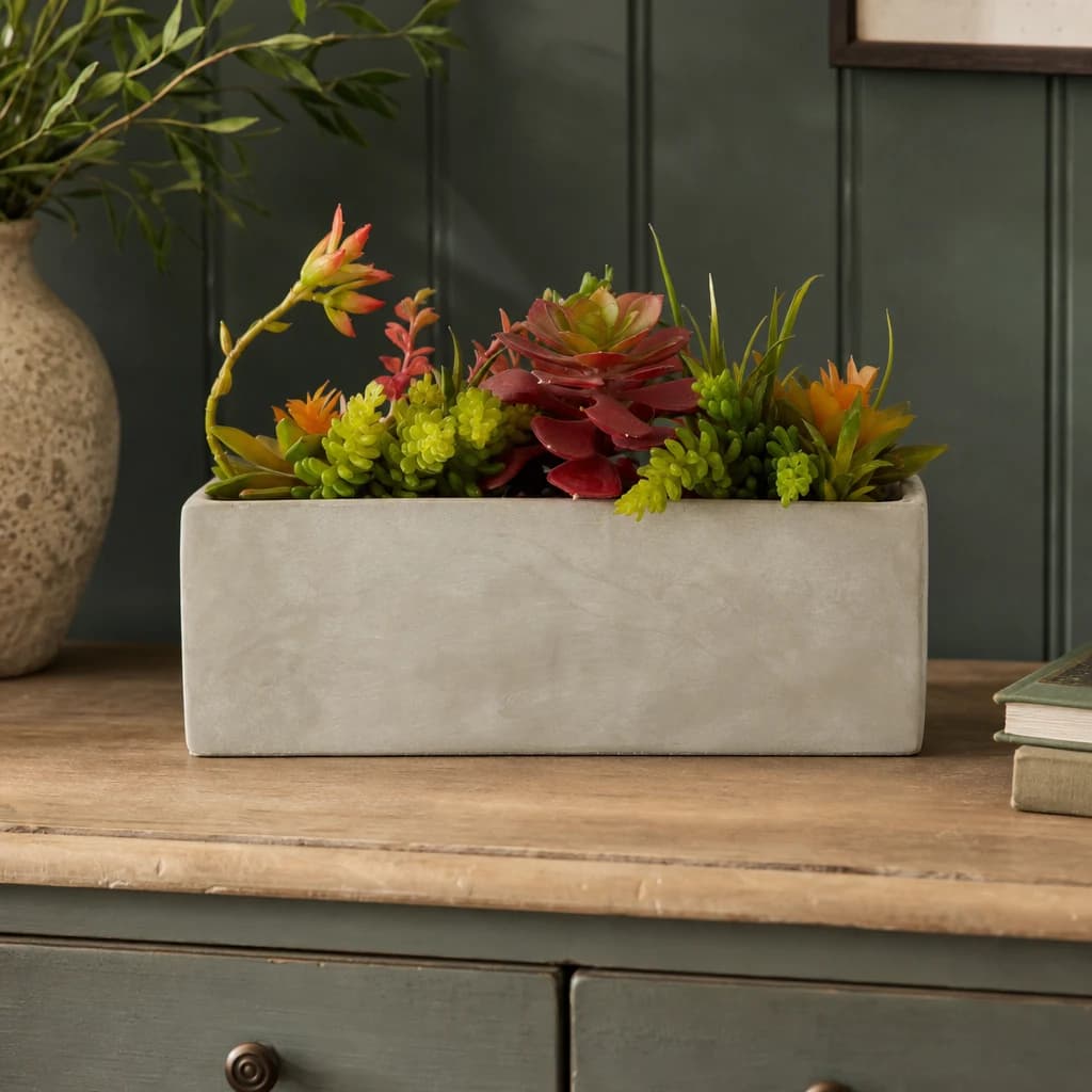 Fiori Mixed Succulents in Rectangular Cement Pot - Decorative, photo 1 of 5