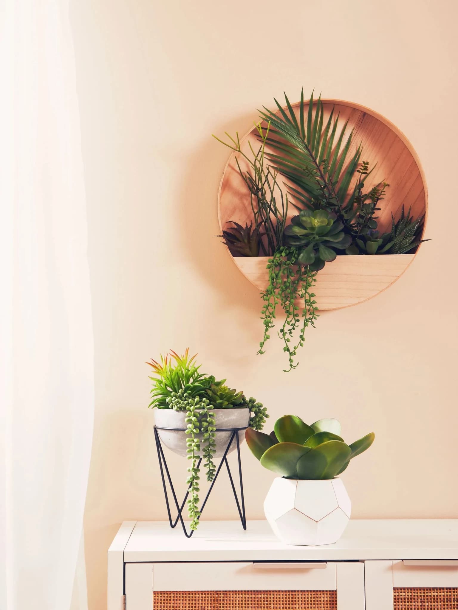 Fiori Succulent in White Faceted Geometric Pot - Decorative, photo 3 of 8