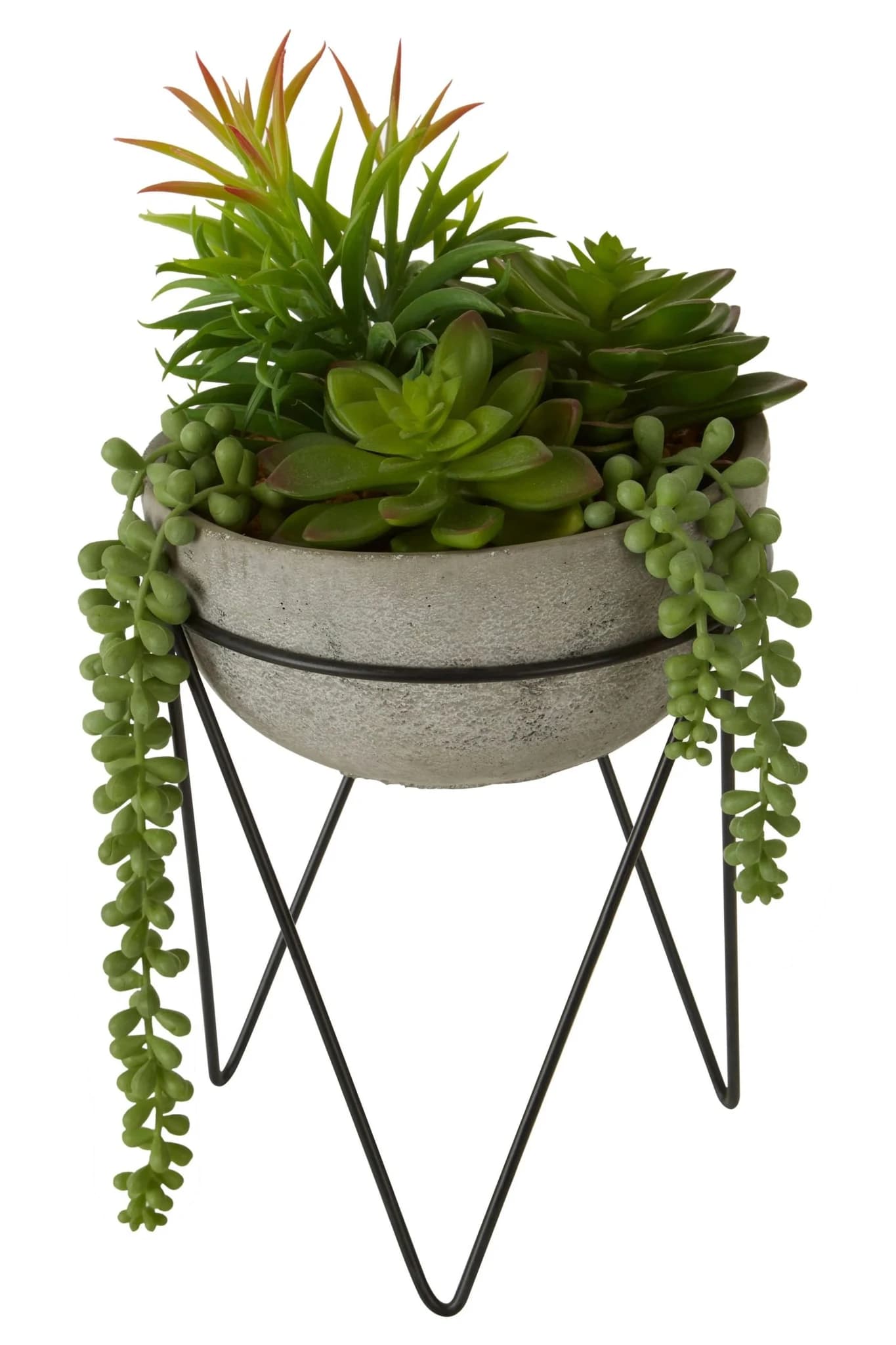Fiori Mixed Succulent in Grey Cement Pot with Metal Stand - Decorative, photo 8 of 8