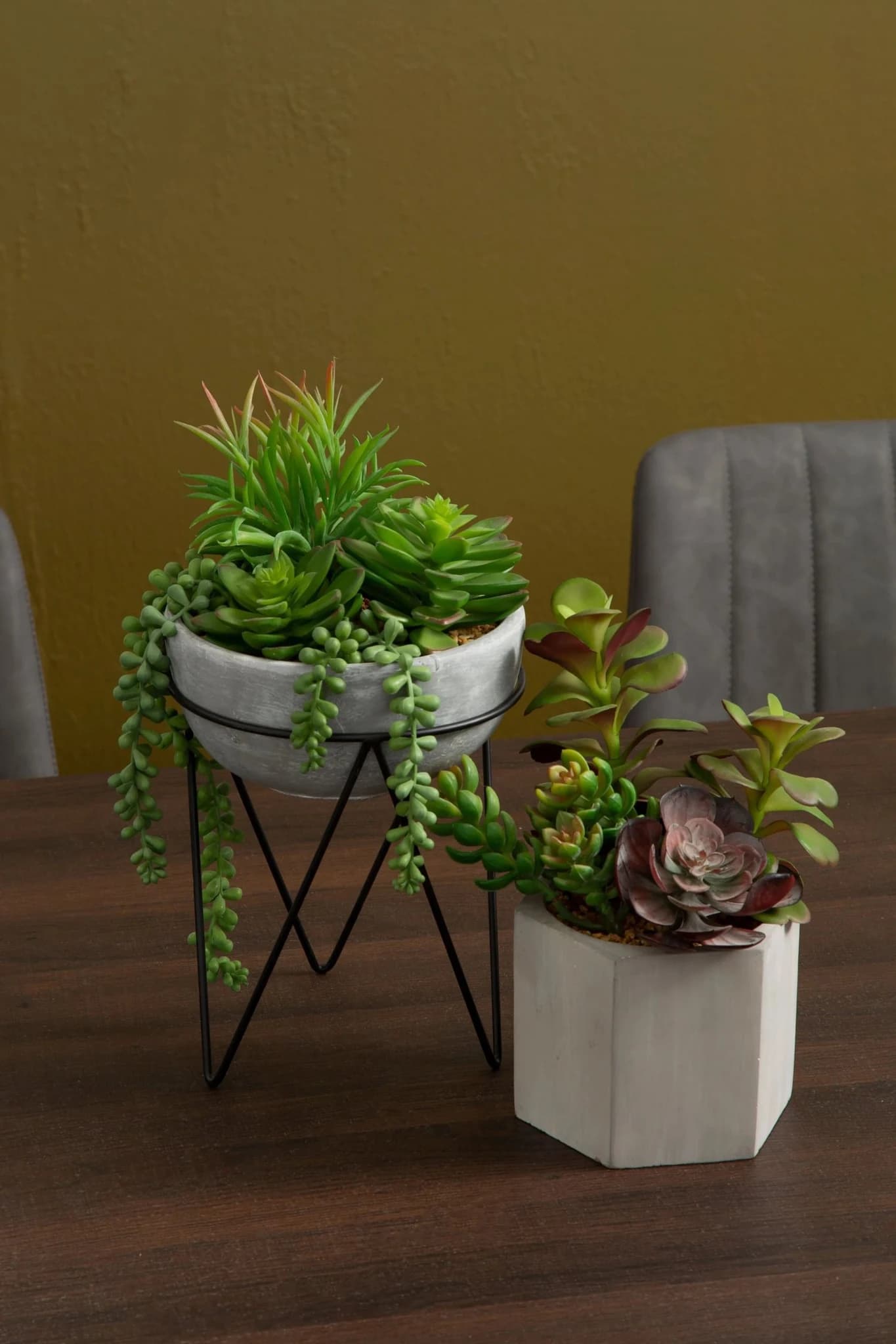 Fiori Mixed Succulent in Grey Cement Pot with Metal Stand - Decorative, photo 7 of 8