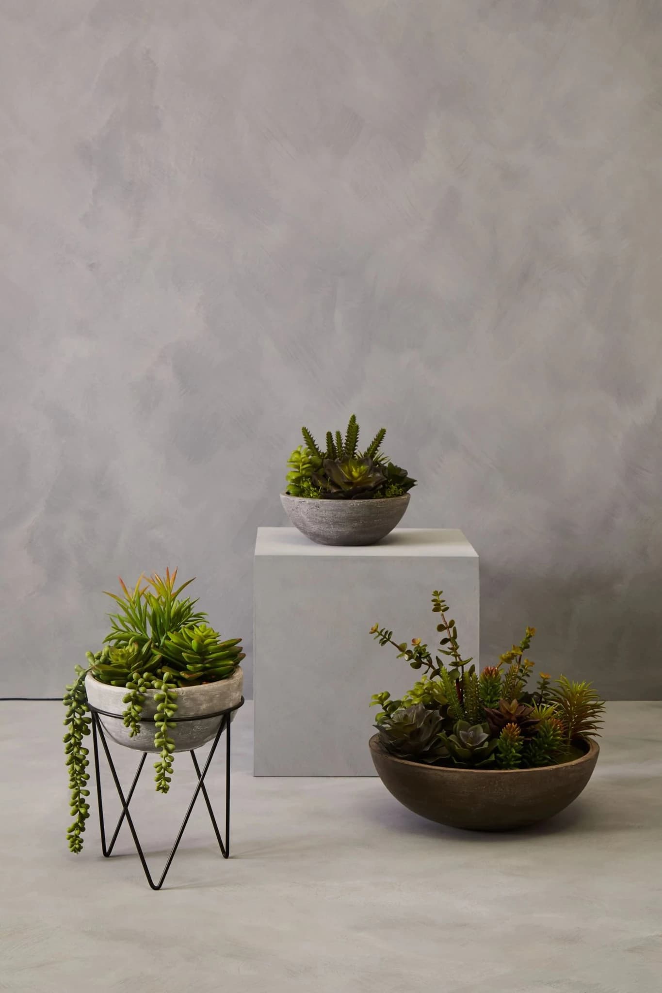 Fiori Mixed Succulent in Grey Cement Pot with Metal Stand - Decorative, photo 6 of 8