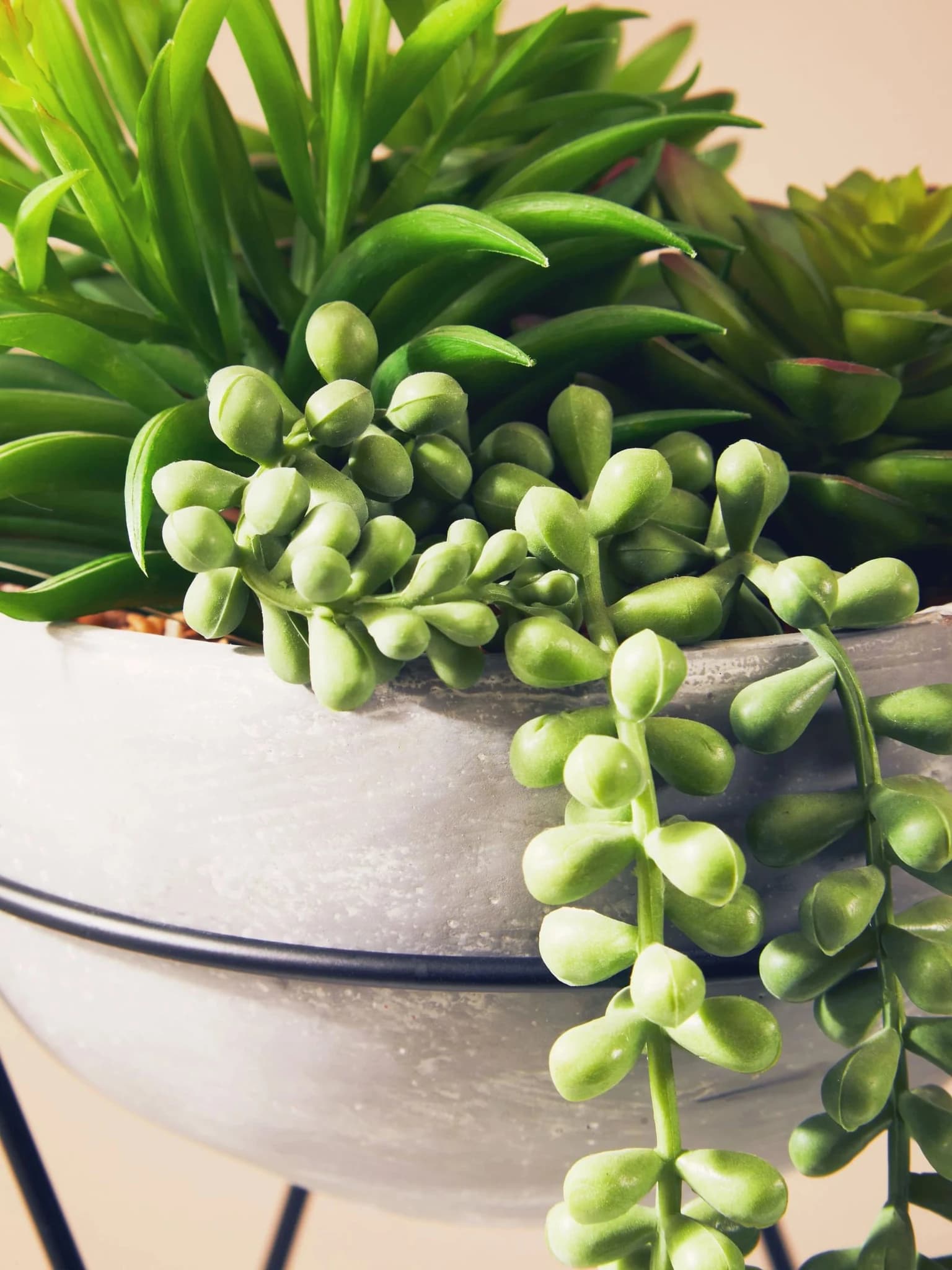 Fiori Mixed Succulent in Grey Cement Pot with Metal Stand - Decorative, photo 3 of 8
