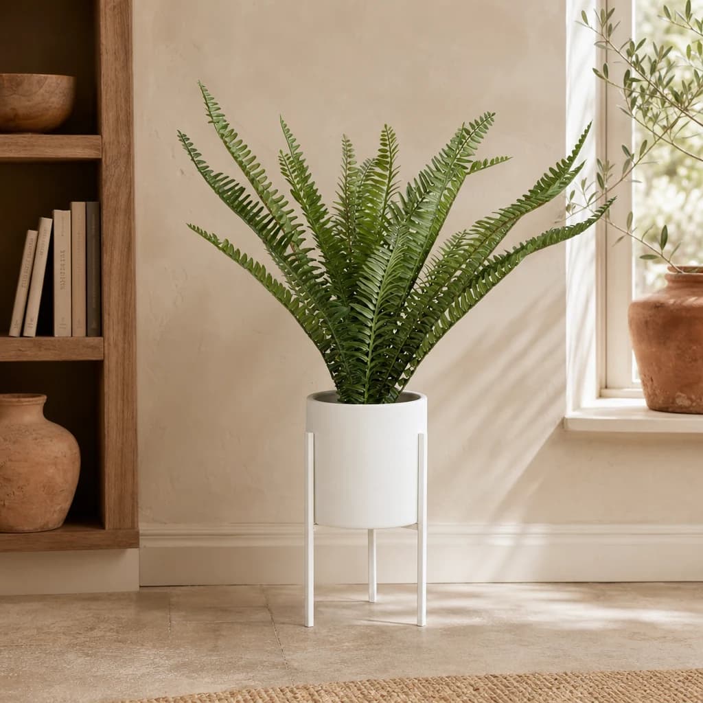 Fiori Fern in White Cement Pot on Stand - Decorative, photo 1 of 8