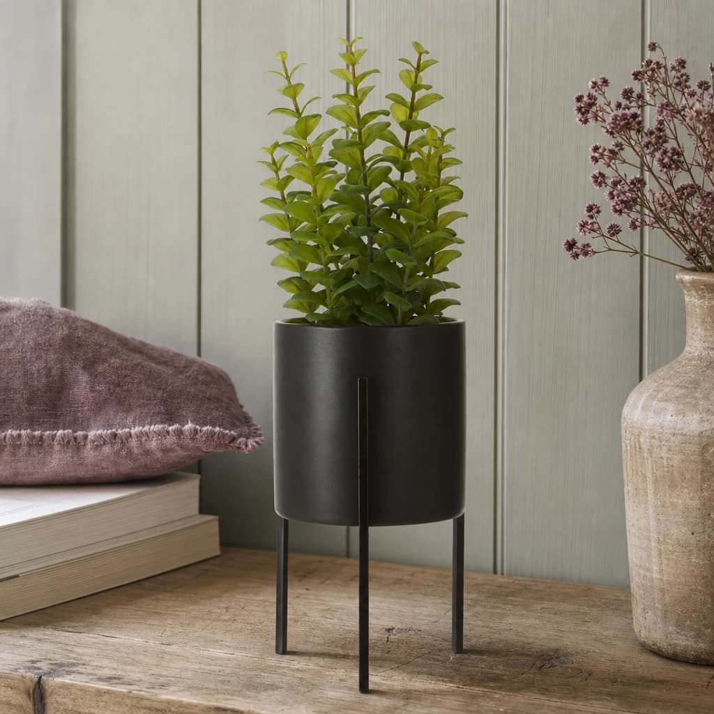 Fiori Thyme in Black Pot with Stand - Decorative, photo 1 of 7