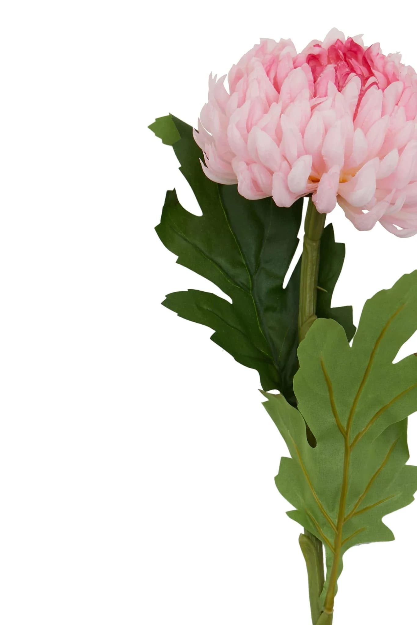 Fiori Pink Chrysanthemum Flower Stem - Decorative, photo 6 of 8