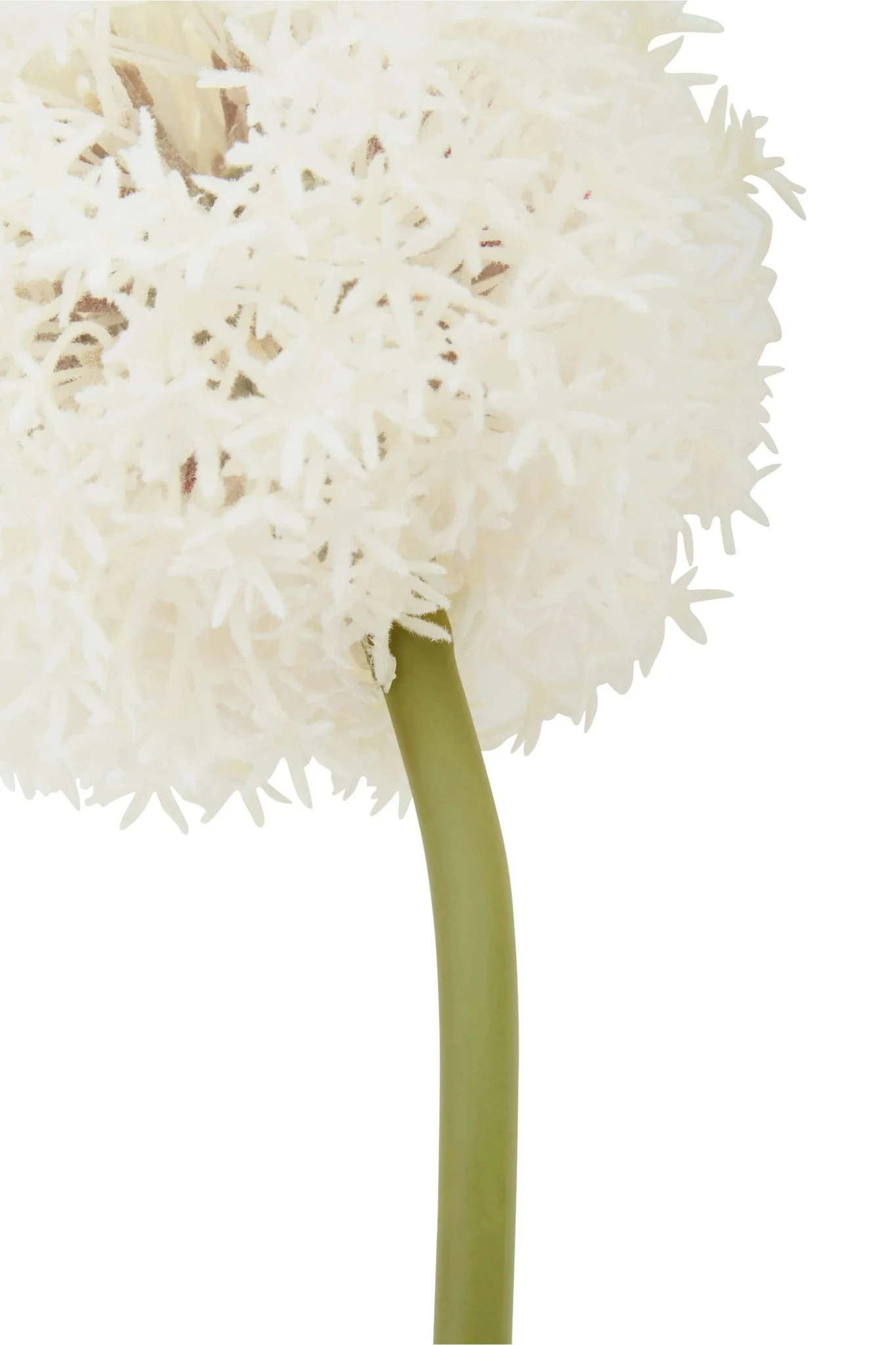 Fiori Ivory Allium Flower Stem - Decorative, photo 8 of 8