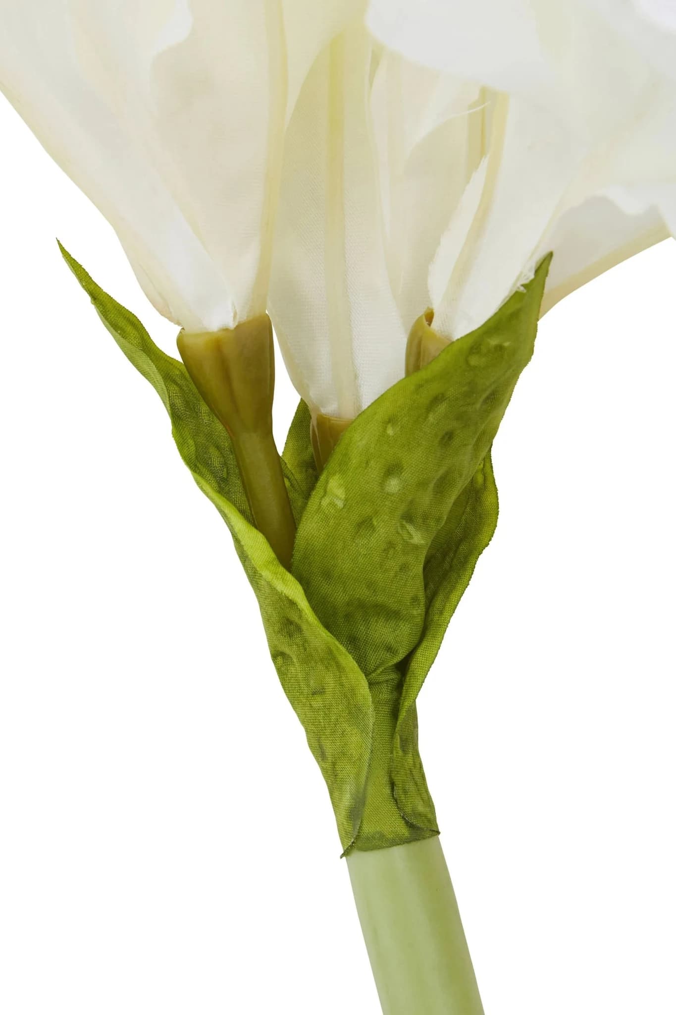 Fiori Ivory Amarylilis Flower Stem - Decorative, photo 5 of 7
